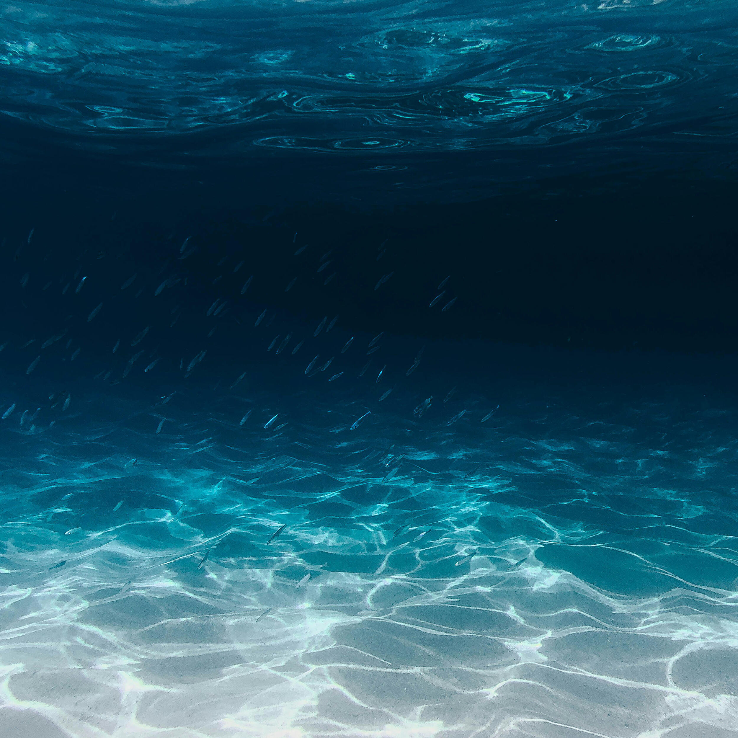 Ocean Eyes