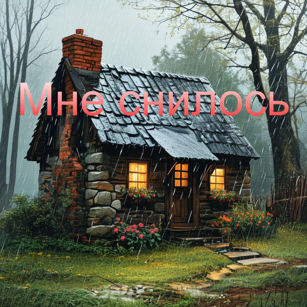 Мне снилось