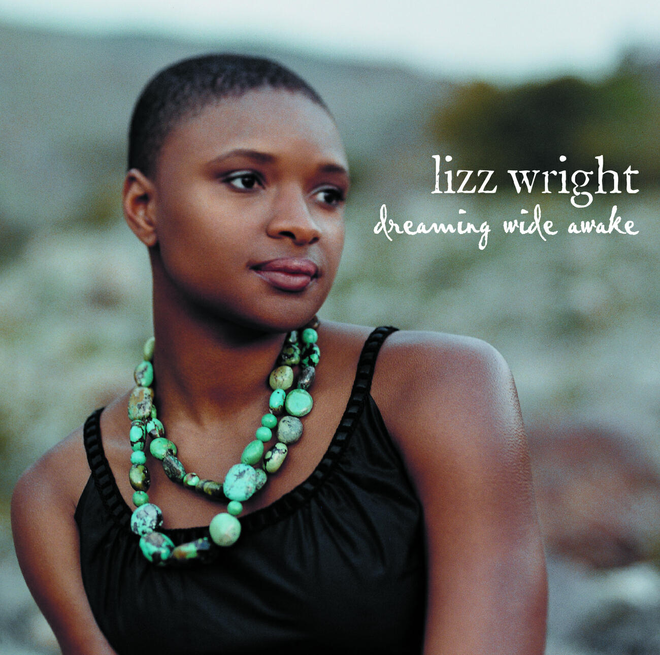 Lizz Wright, Bill Frisell - A Taste Of Honey (Alternate Version)