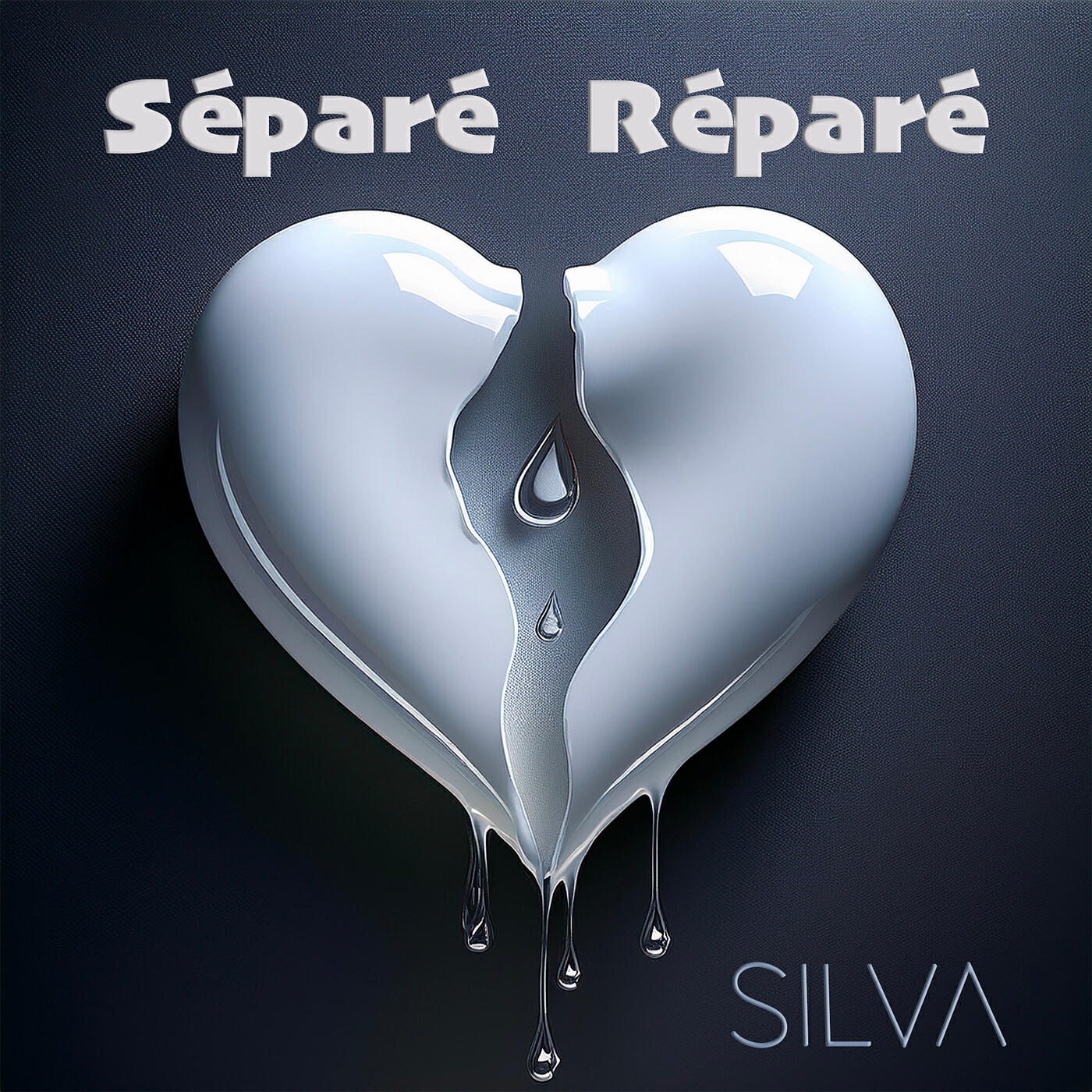 Альбом Séparé réparé исполнителя Silva