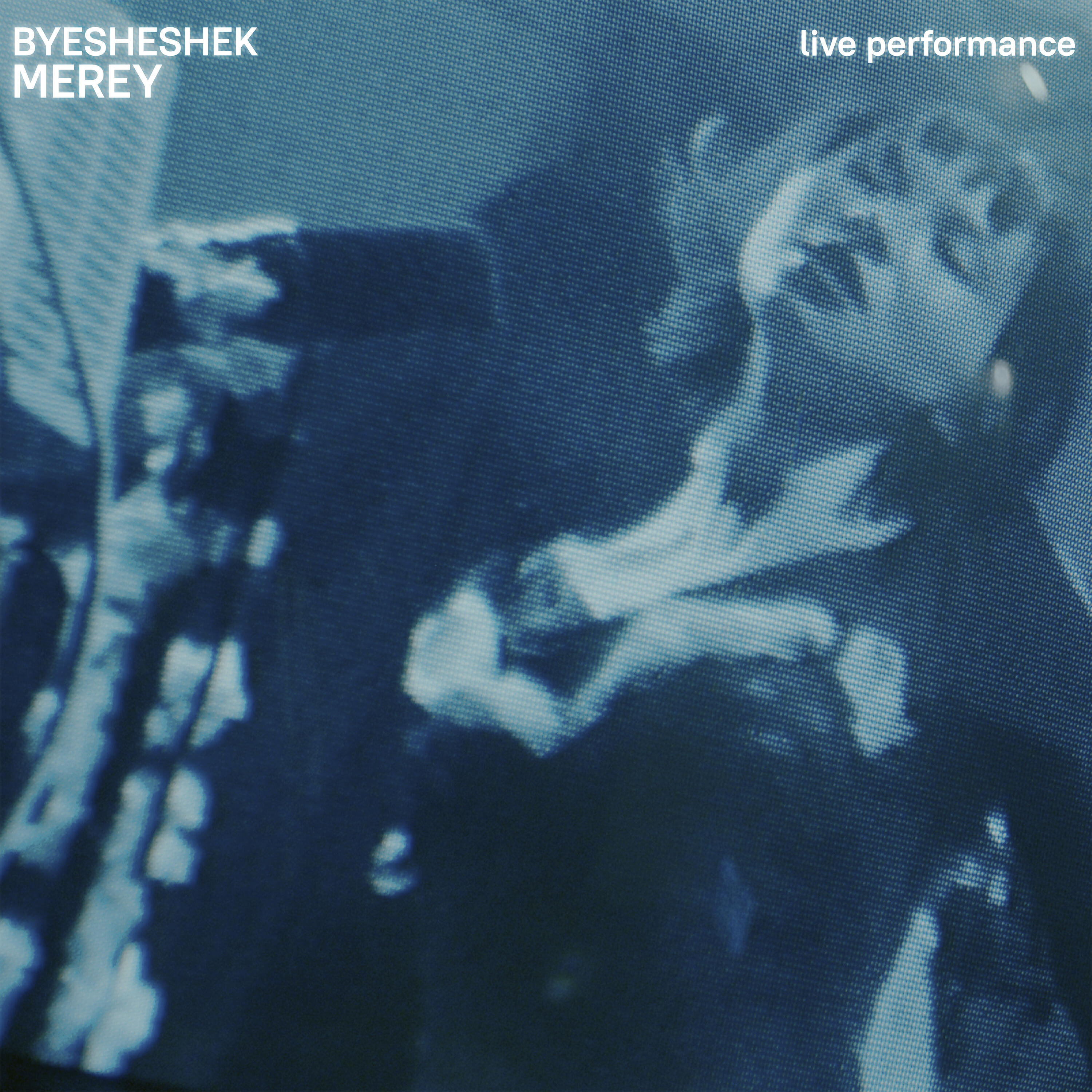 BYESHESHEK