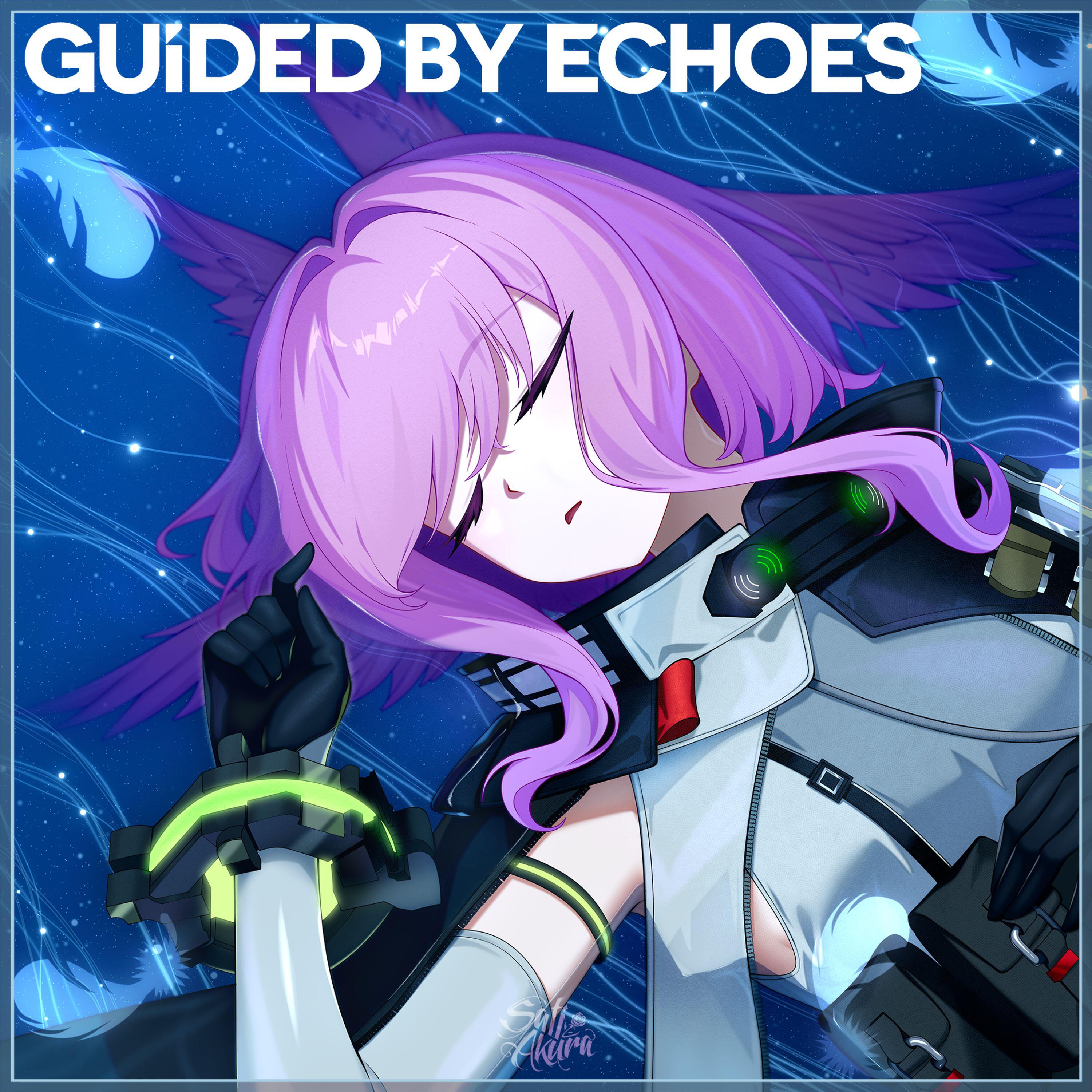 Guided by Echoes