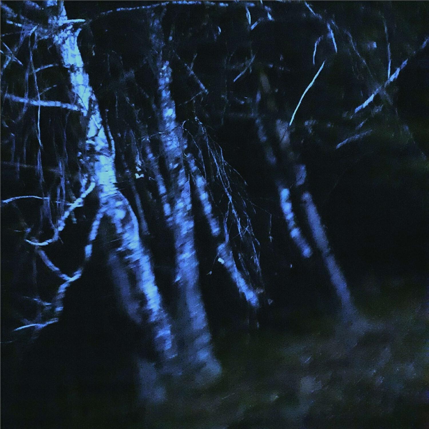 Songs Of a Closed Person