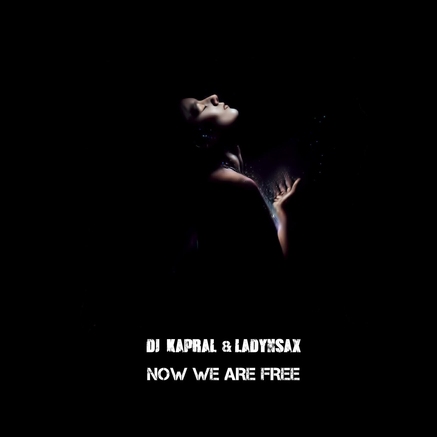 Альбом Now We Are Free исполнителя DJ Kapral, Ladynsax