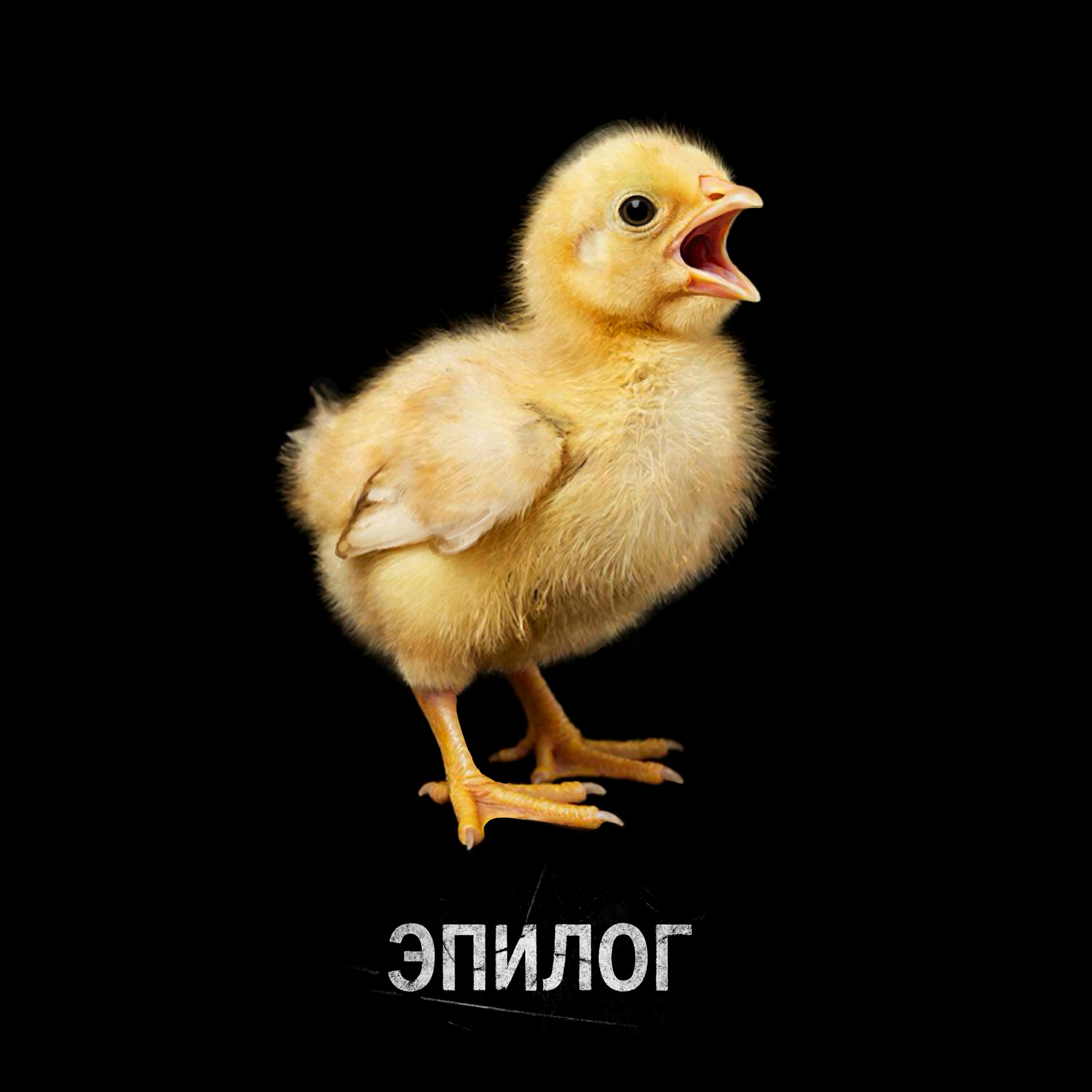 Эпилог