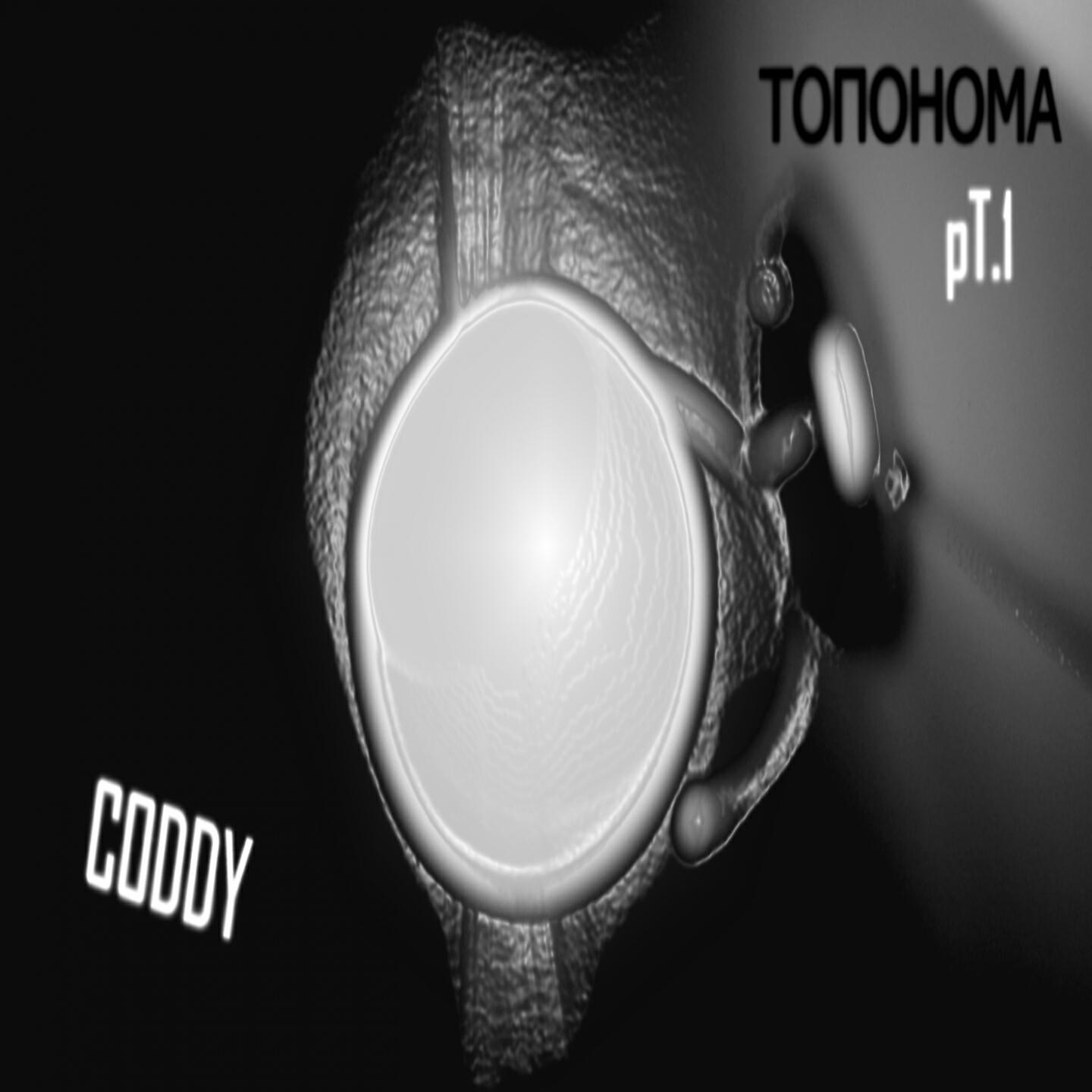 Альбом Топонома исполнителя Coddy