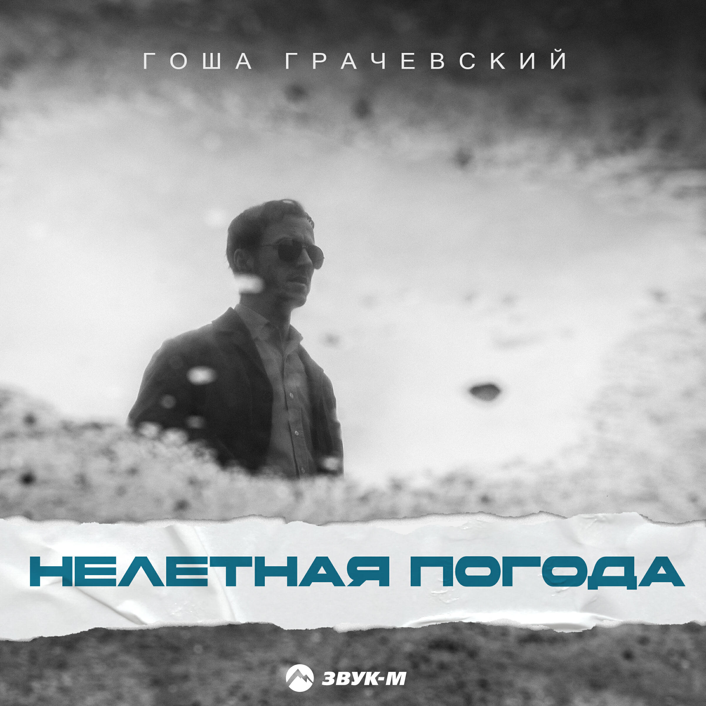 Нелетная погода