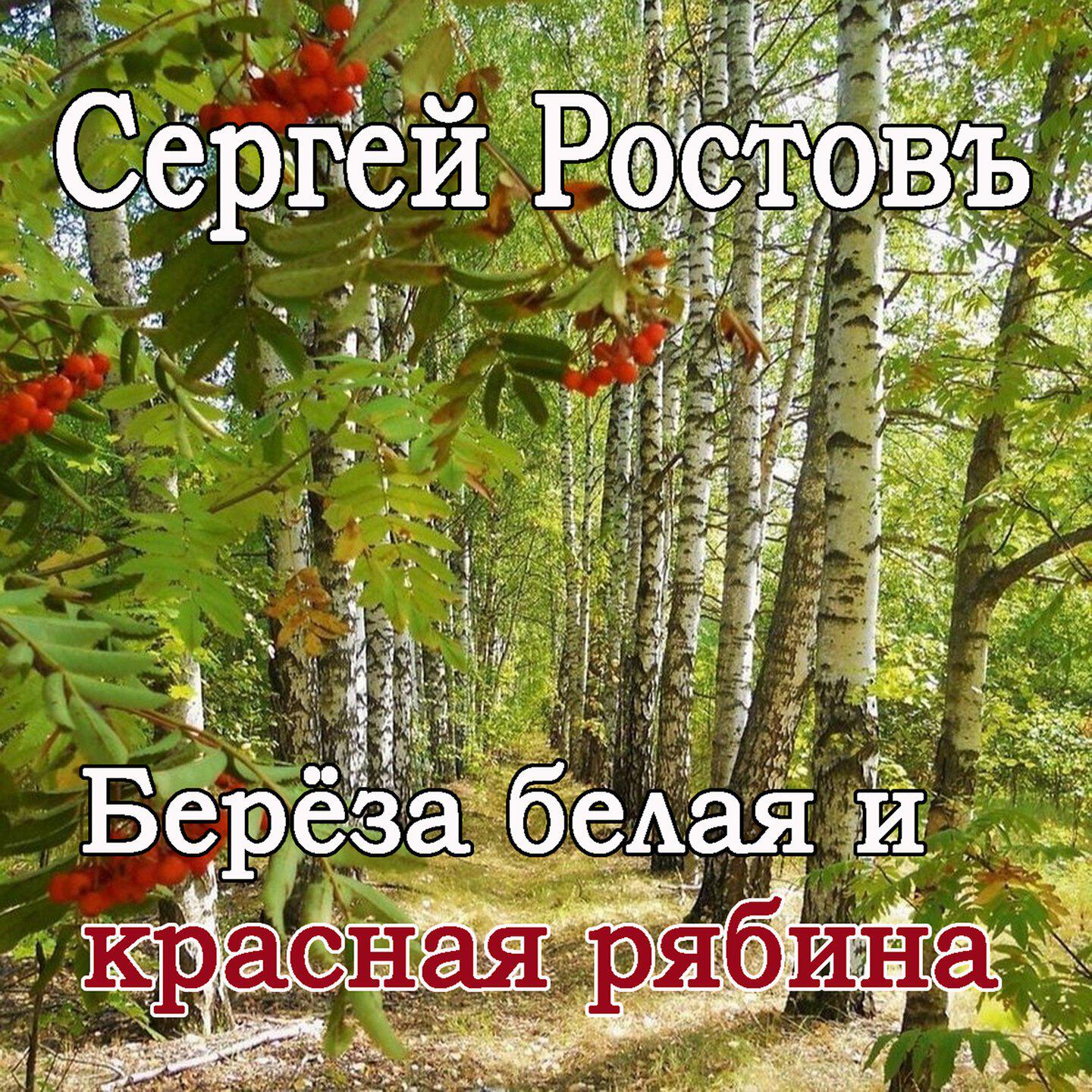 Берёза белая и красная рябина