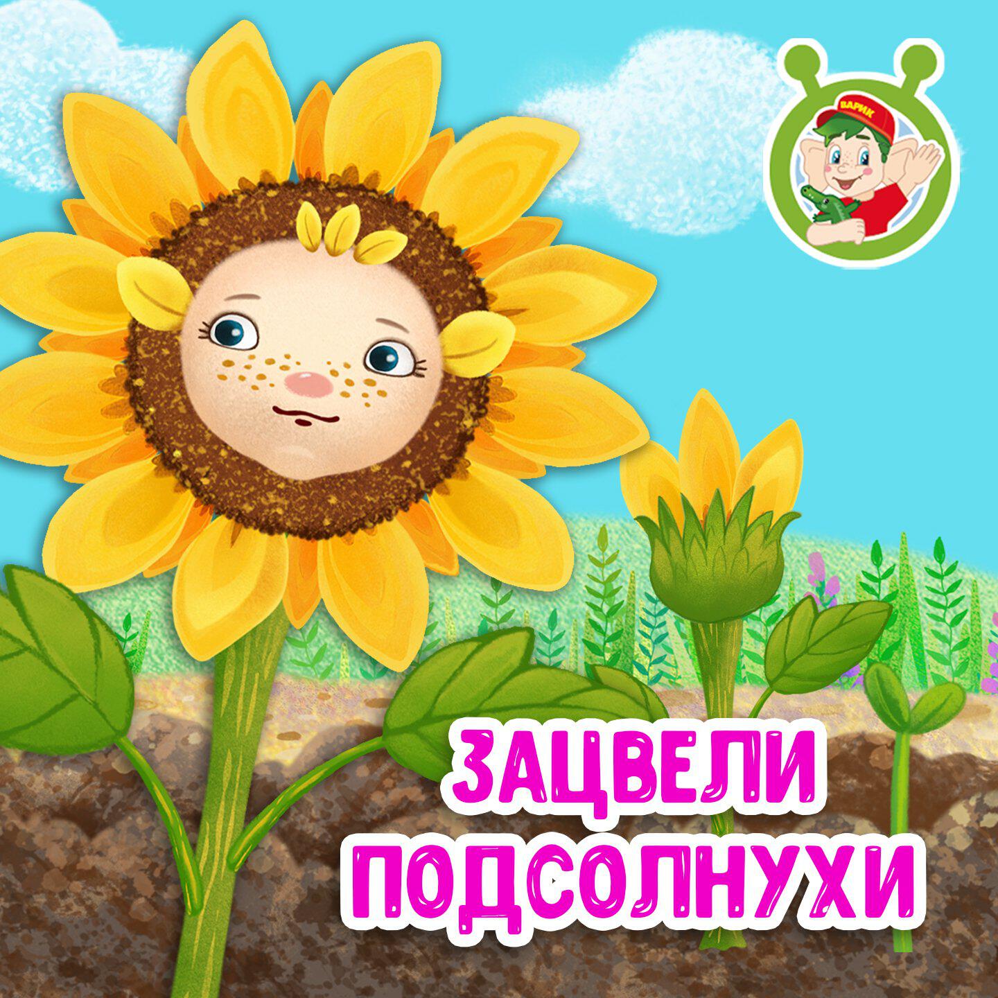 Зацвели подсолнухи