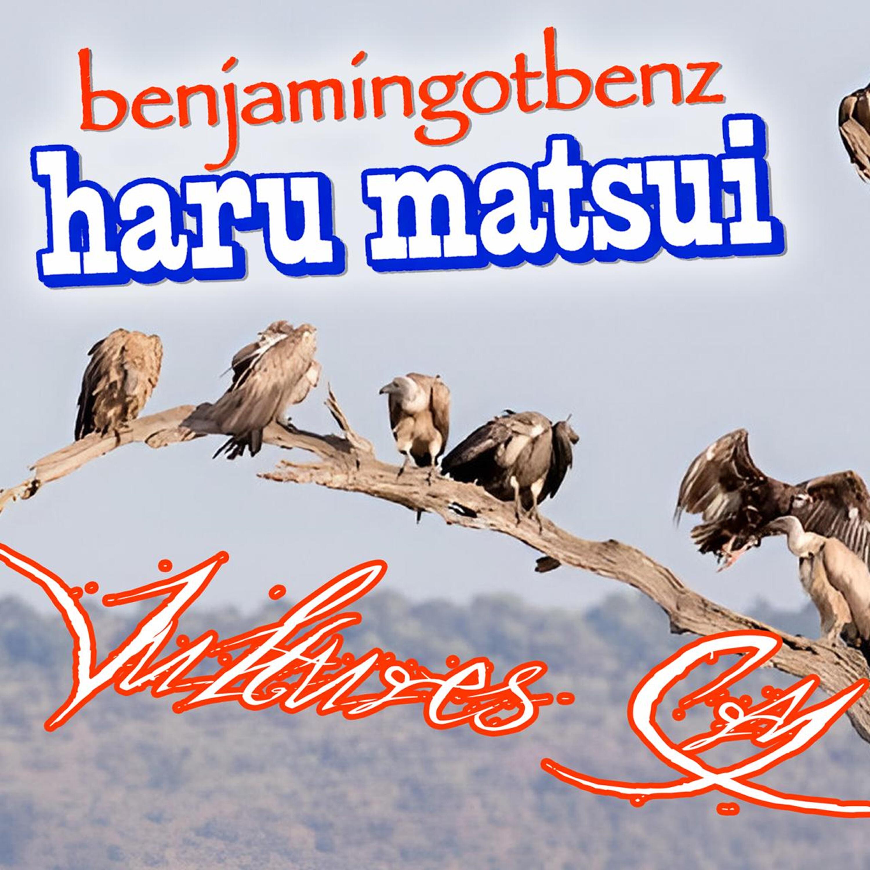 Альбом Vultures Cry исполнителя Haru Matsui, Benjamingotbenz