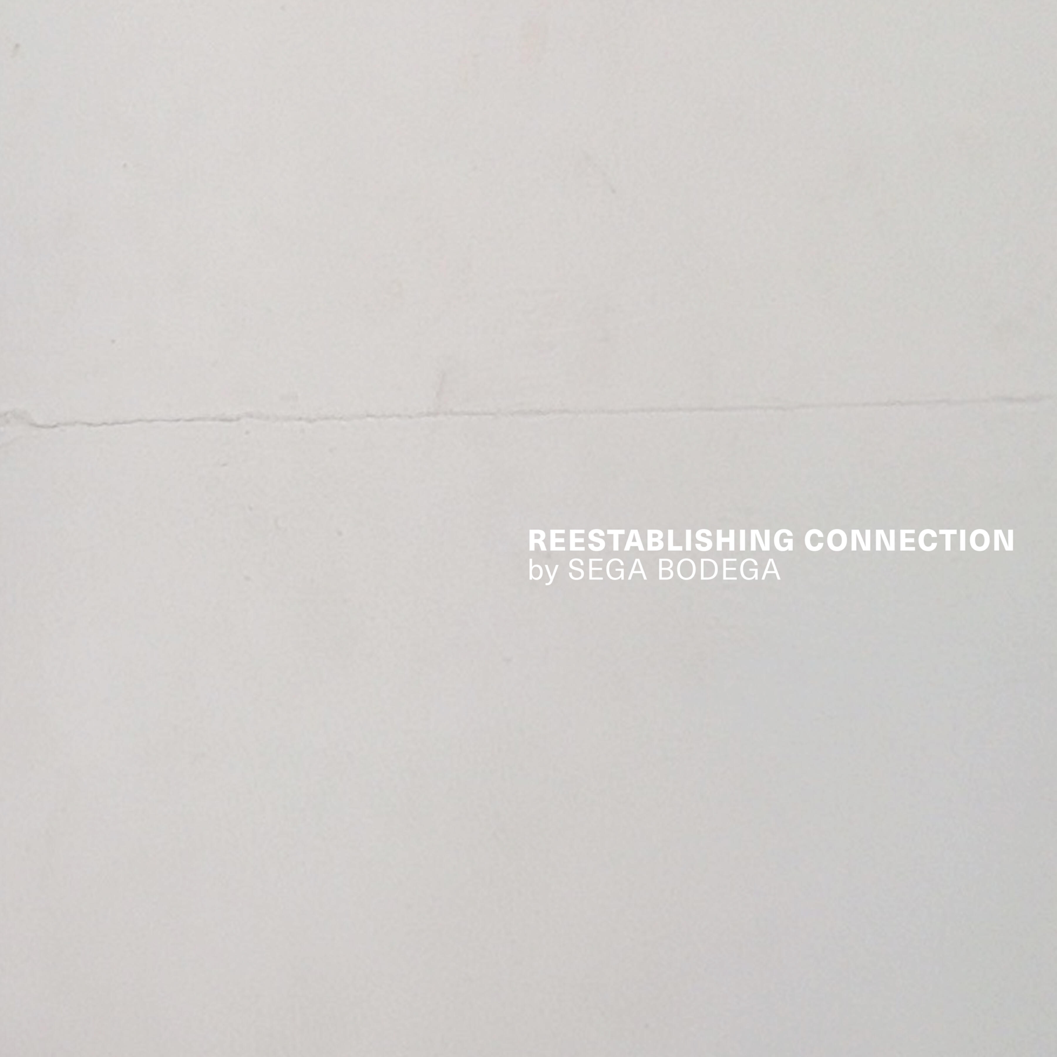 Reestablishing Connection [2020]