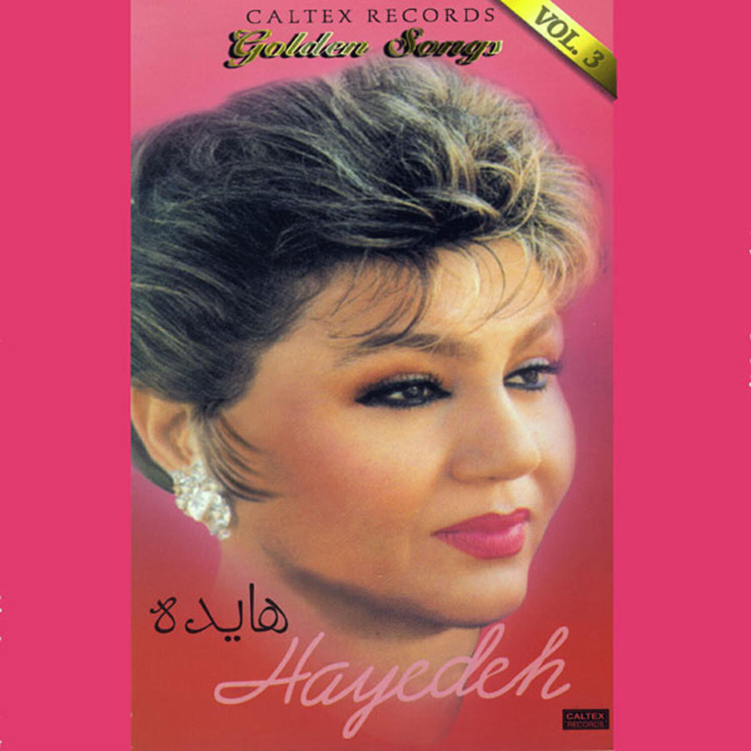 Hayedeh, Houshmand Aghili - Bazm
