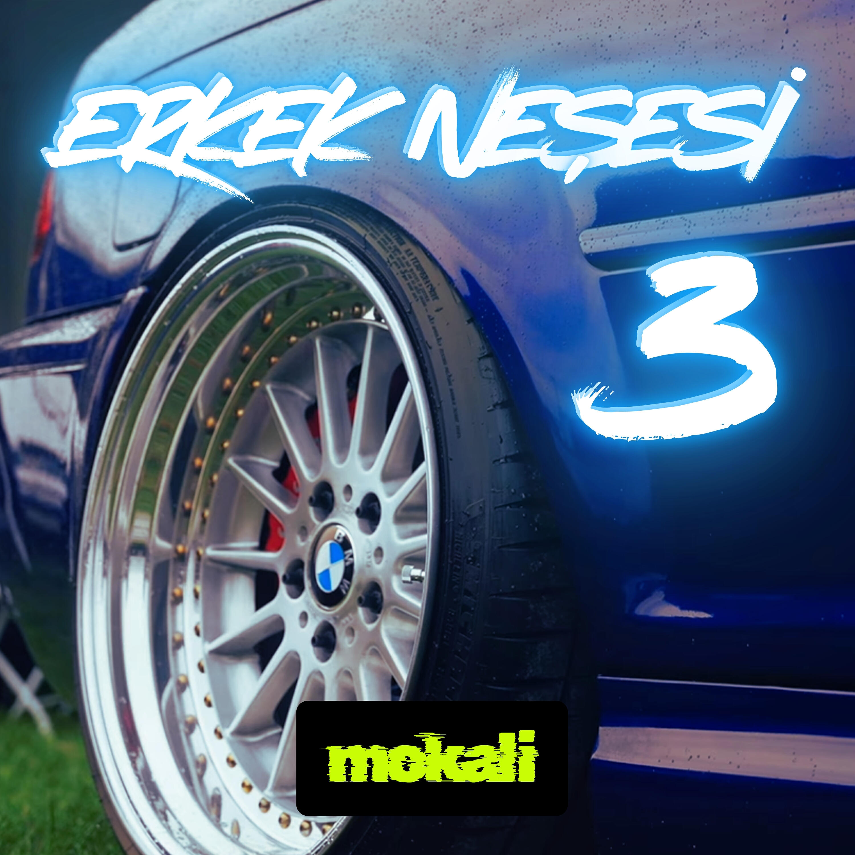 Erkek Neşesi 3