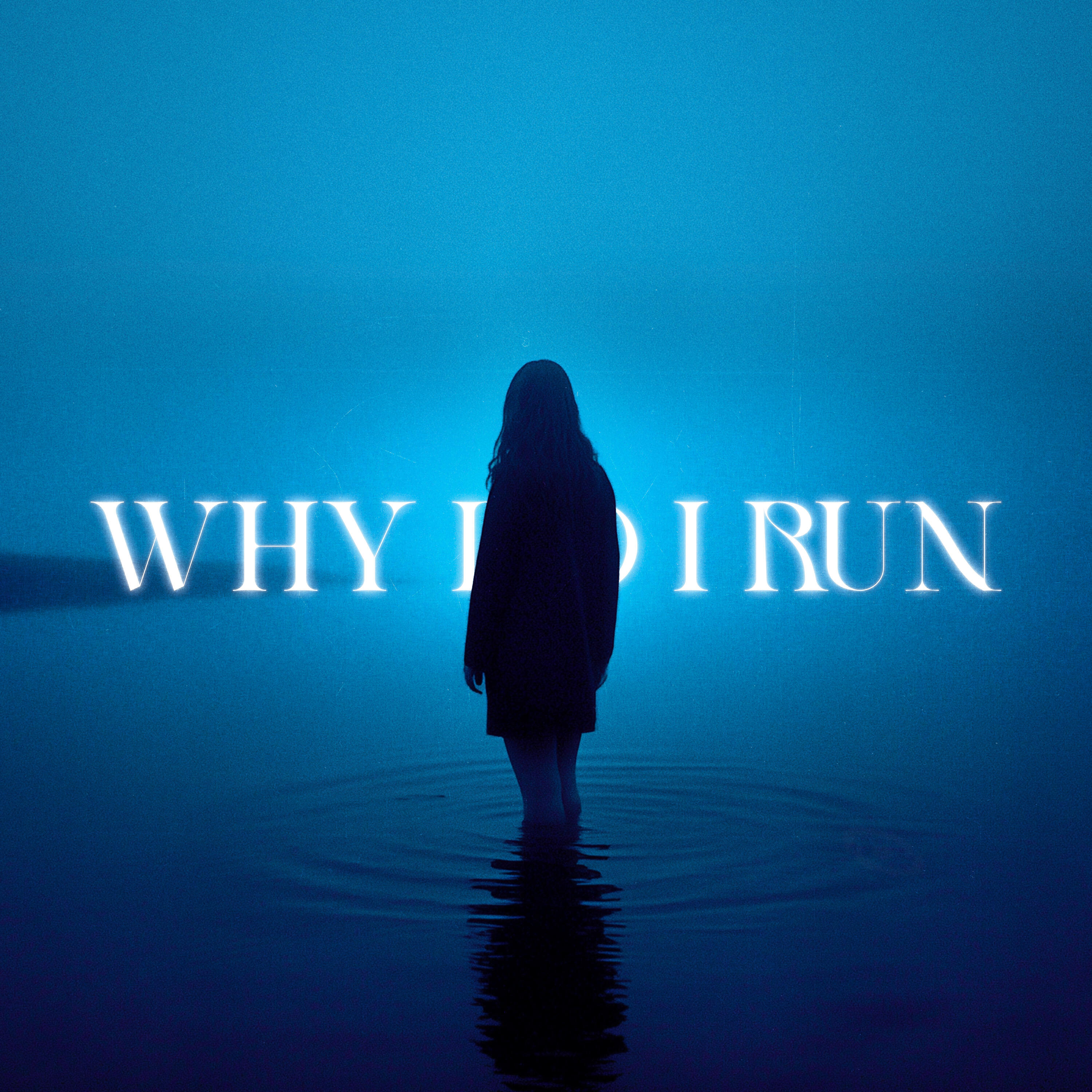 Альбом Why Do I Run исполнителя Vadim Adamov, Blind Rose, Punsh