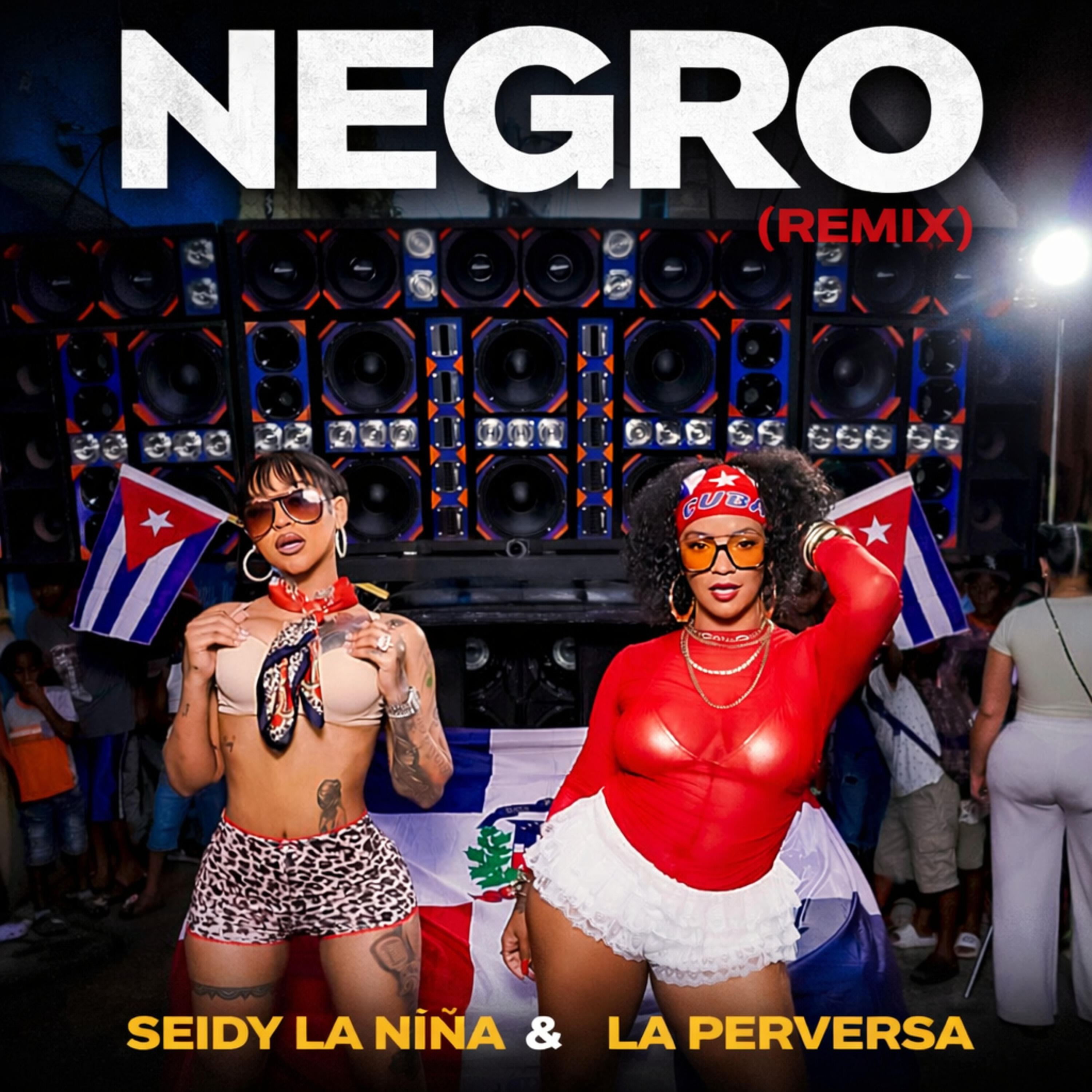 Альбом Negro исполнителя Seidy La Niña, La Perversa