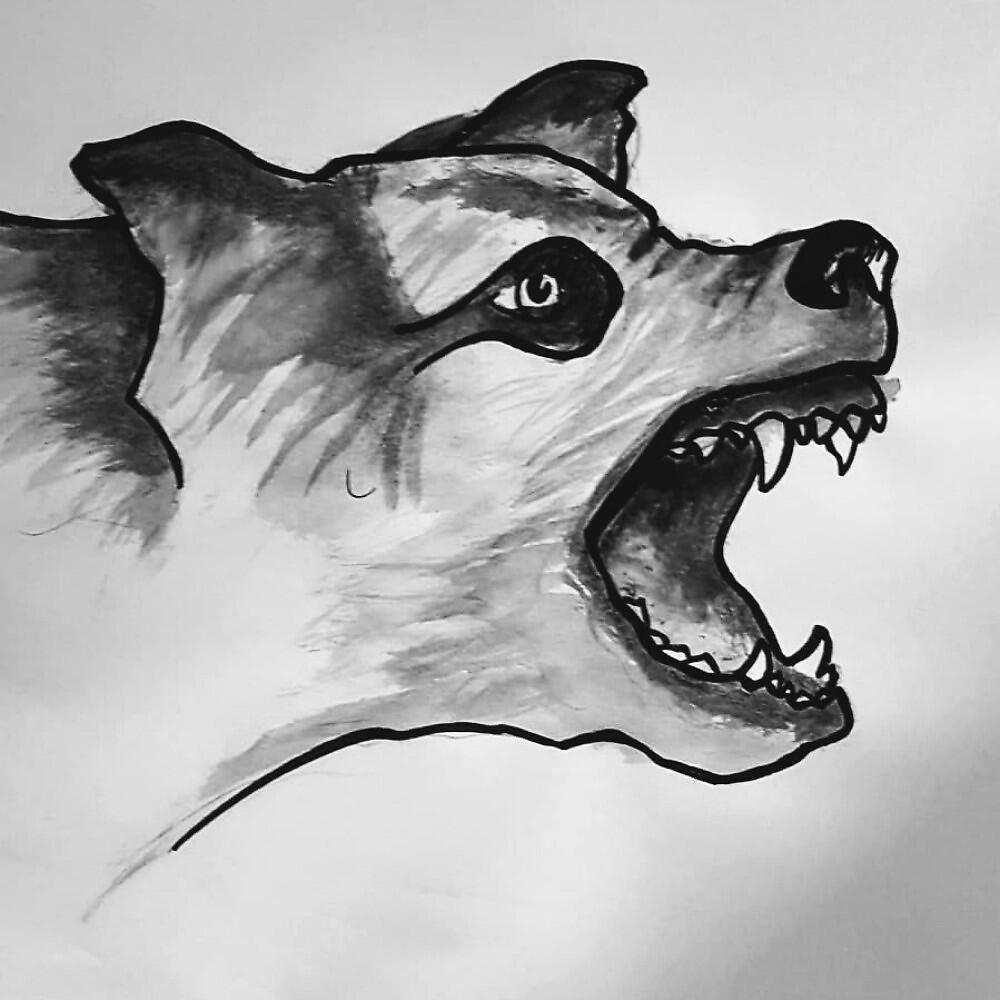 Альбом Barking Dog исполнителя Arm