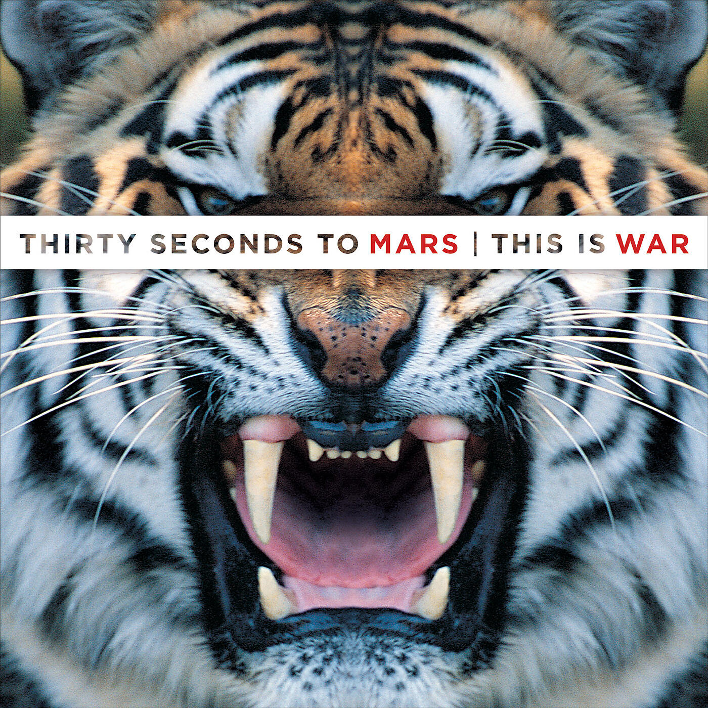 THIRTY SECONDS TO MARS - Vox Populi