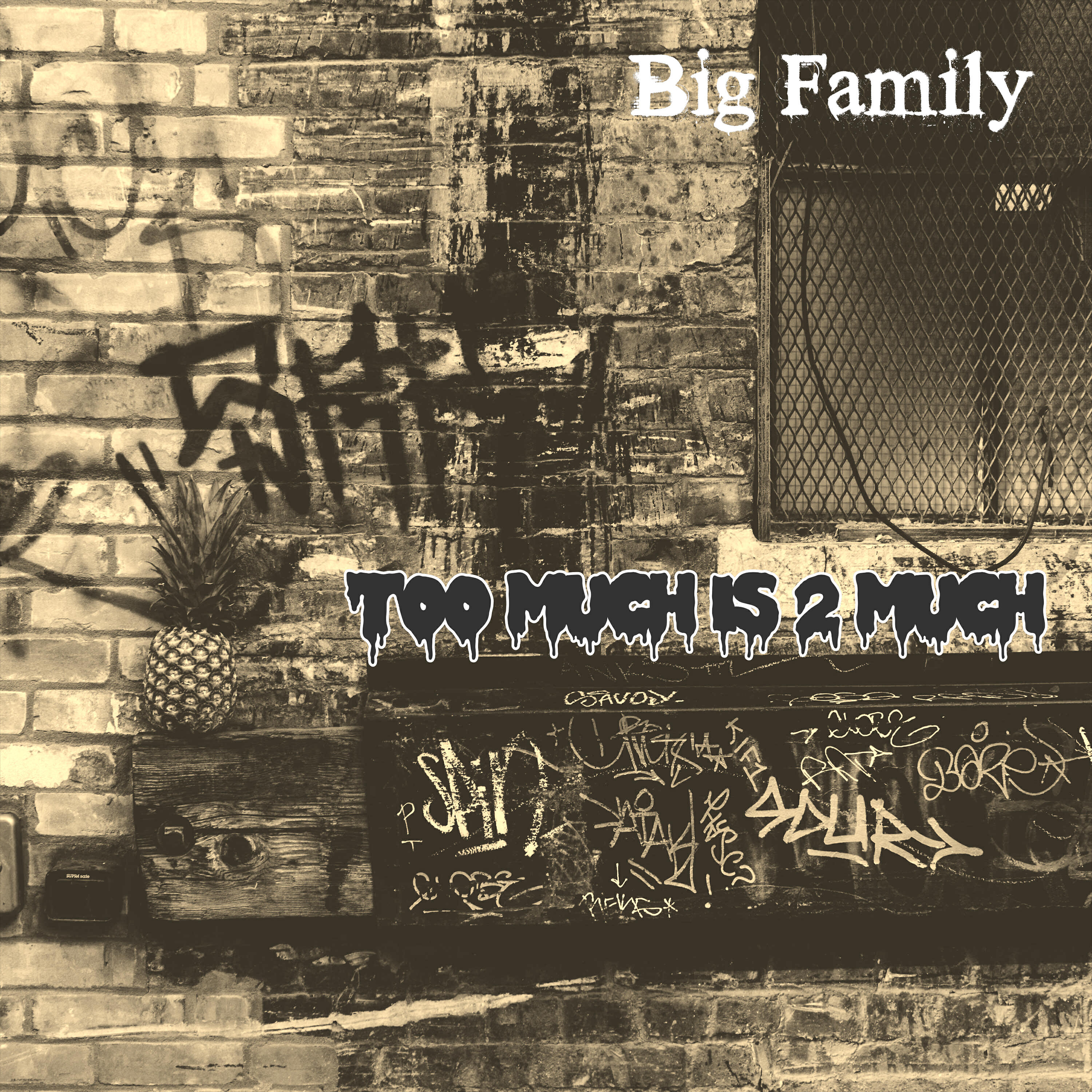 Big Family - Too Much Is 2 Much