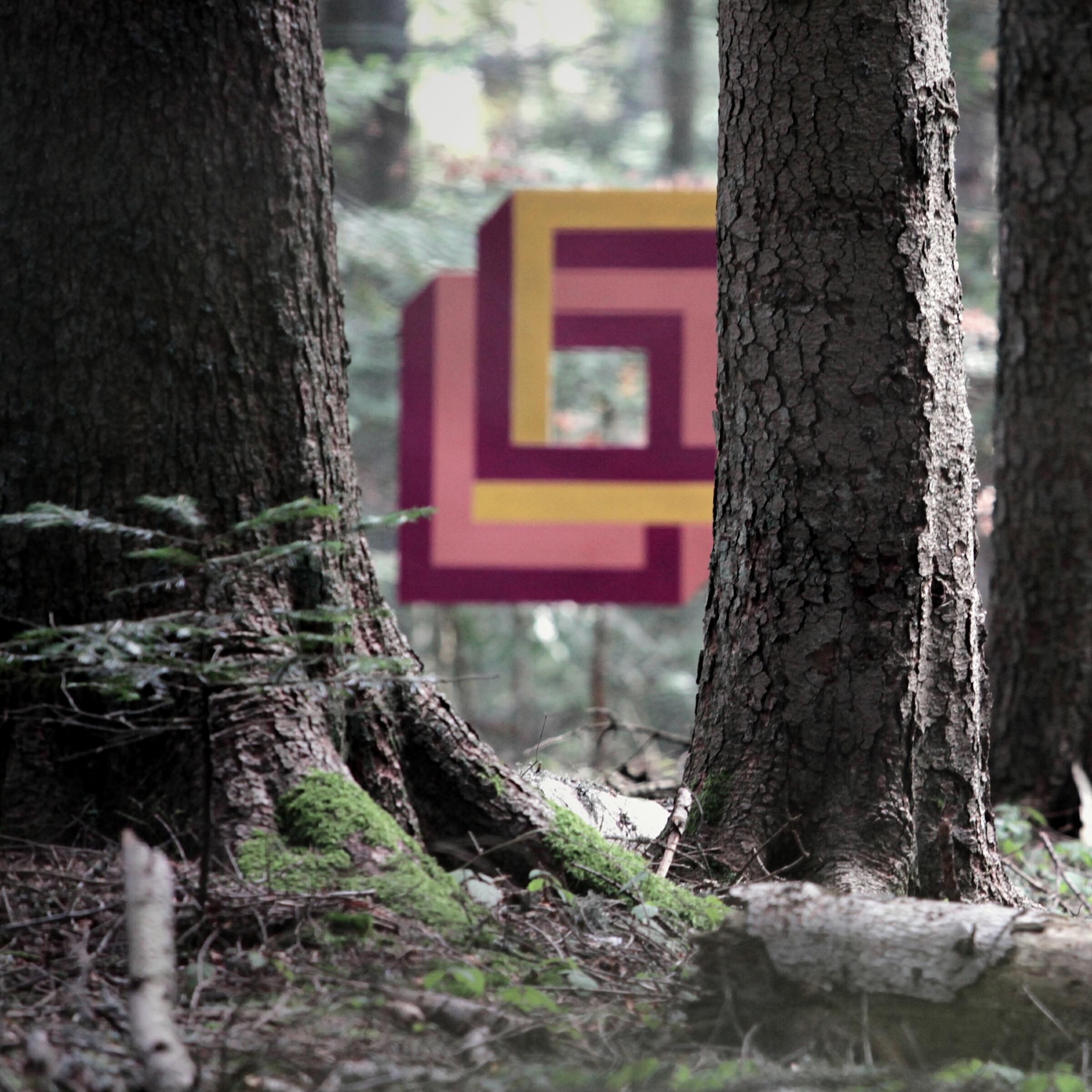 Losless - Synecku - 2012 Mix