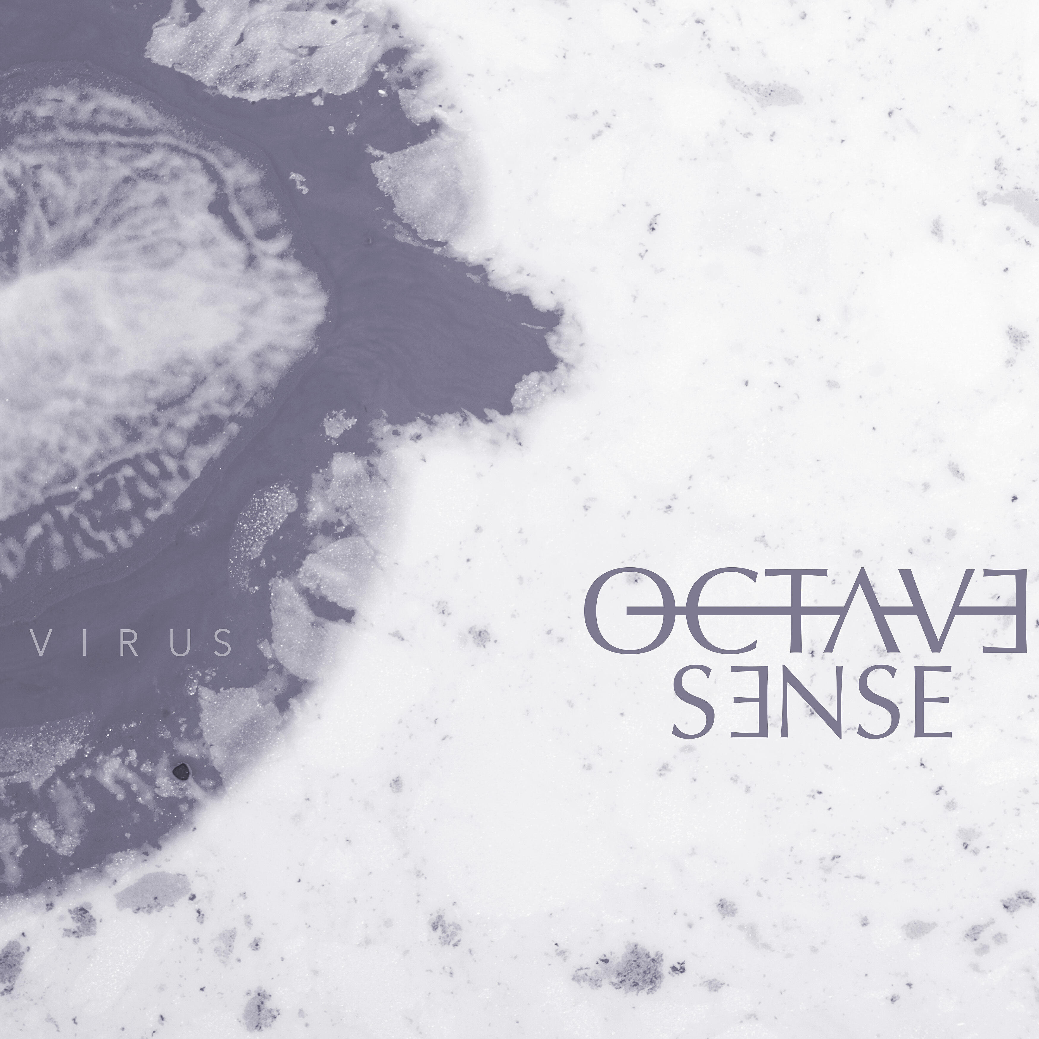 Virus