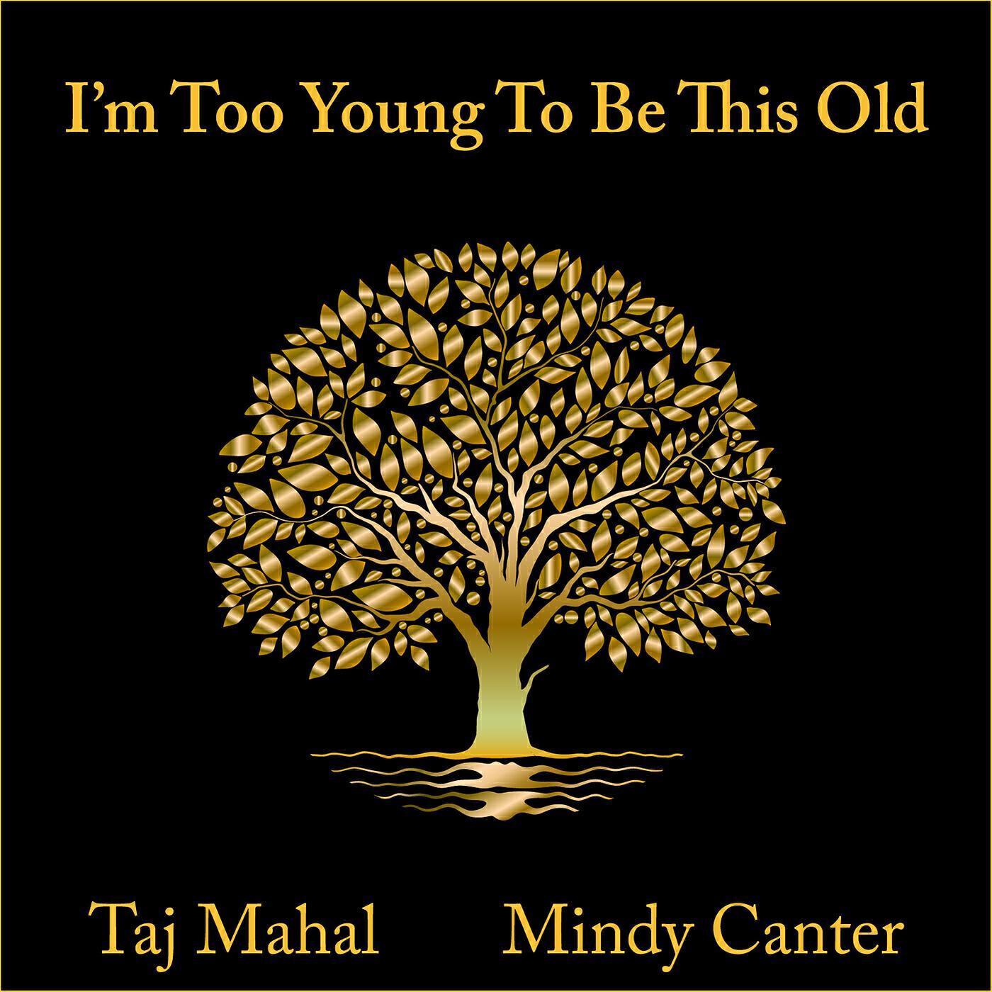 Mindy Canter