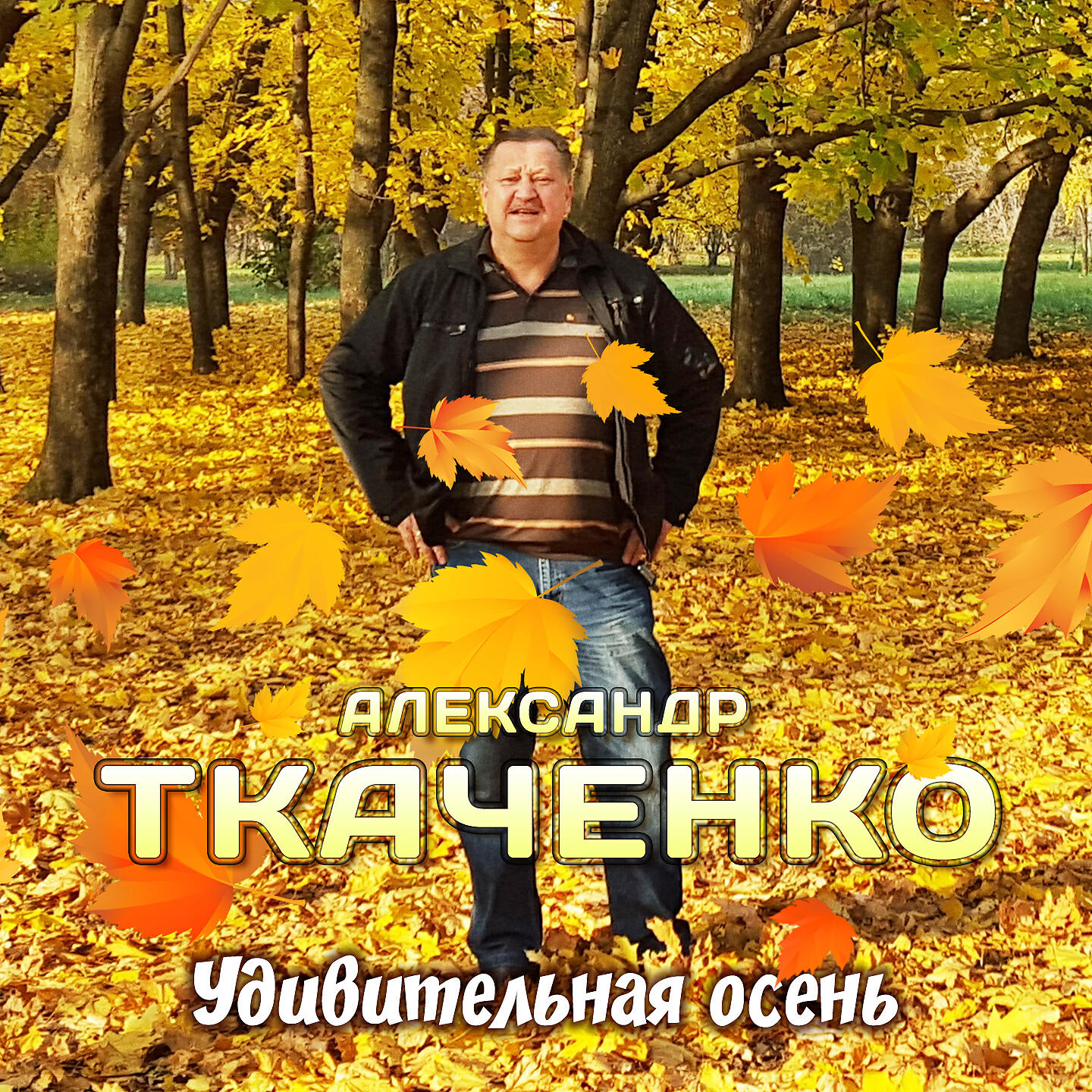 Альбом Удивительная осень исполнителя Александр Ткаченко
