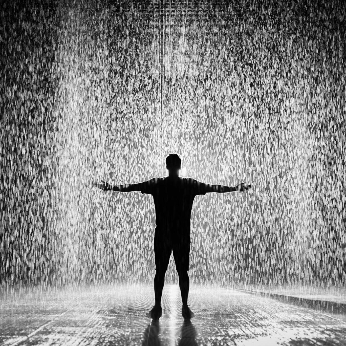 Альбом Rain All Night исполнителя Nature Sounds, Nature Of Sweden, Natures Acoustics