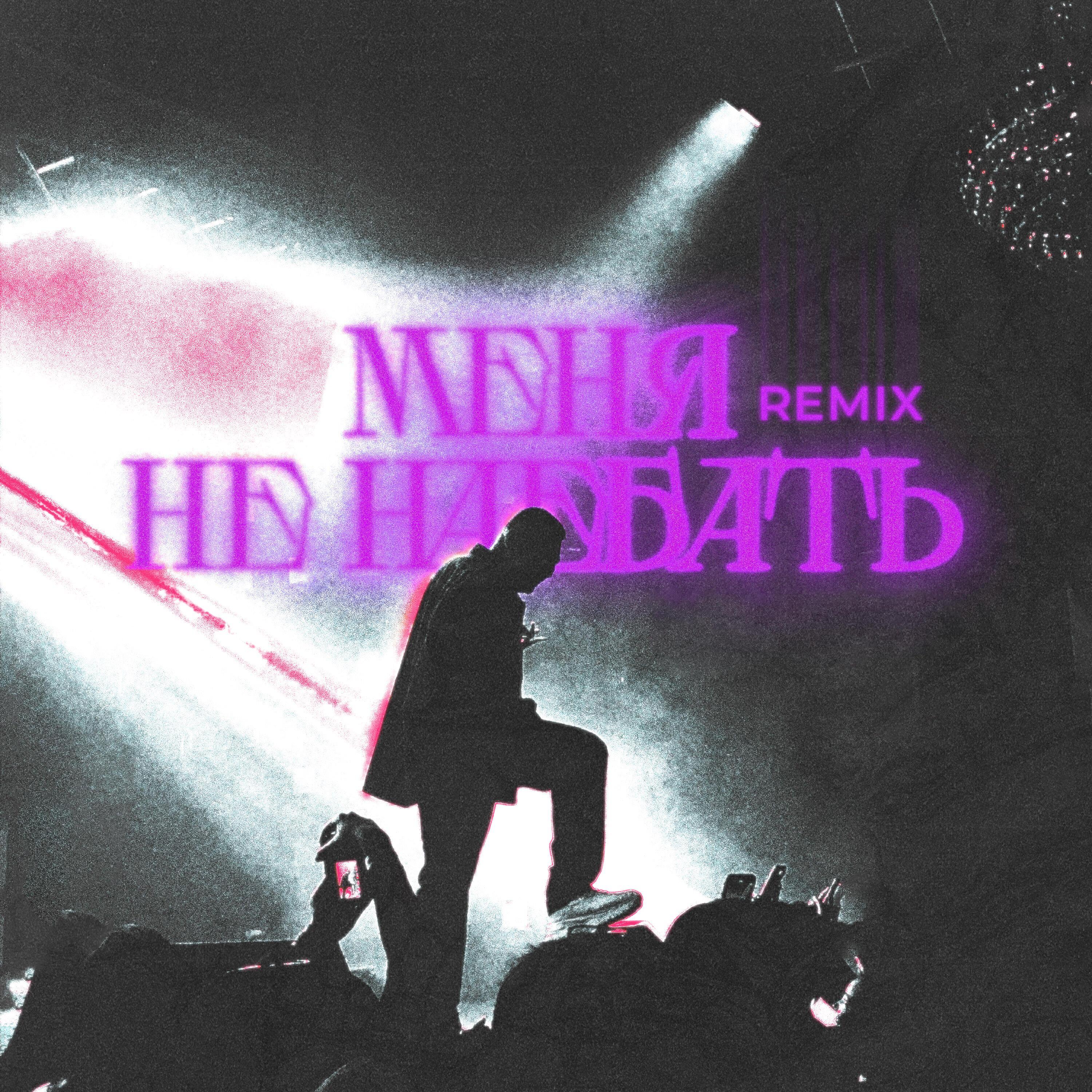 Меня не наебать (Remix)