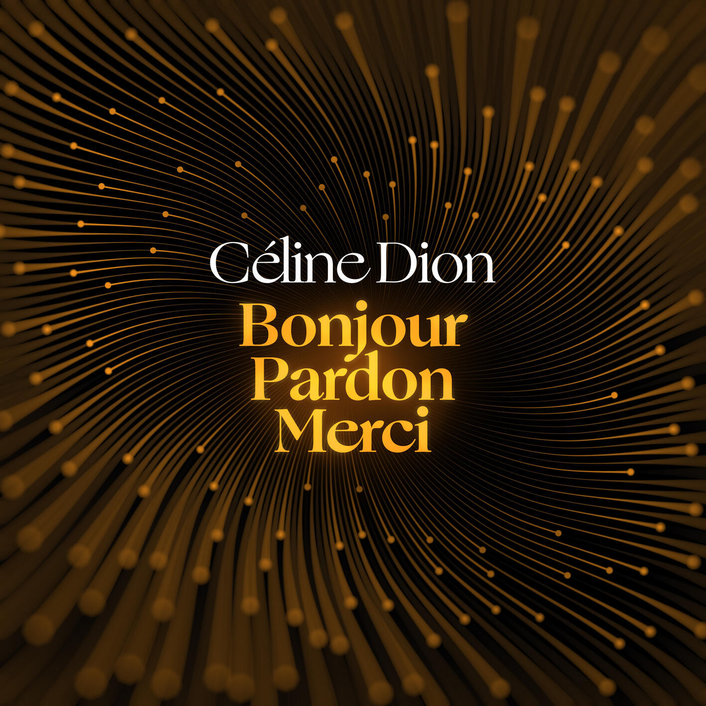 Альбом Bonjour, Pardon, Merci исполнителя Céline Dion
