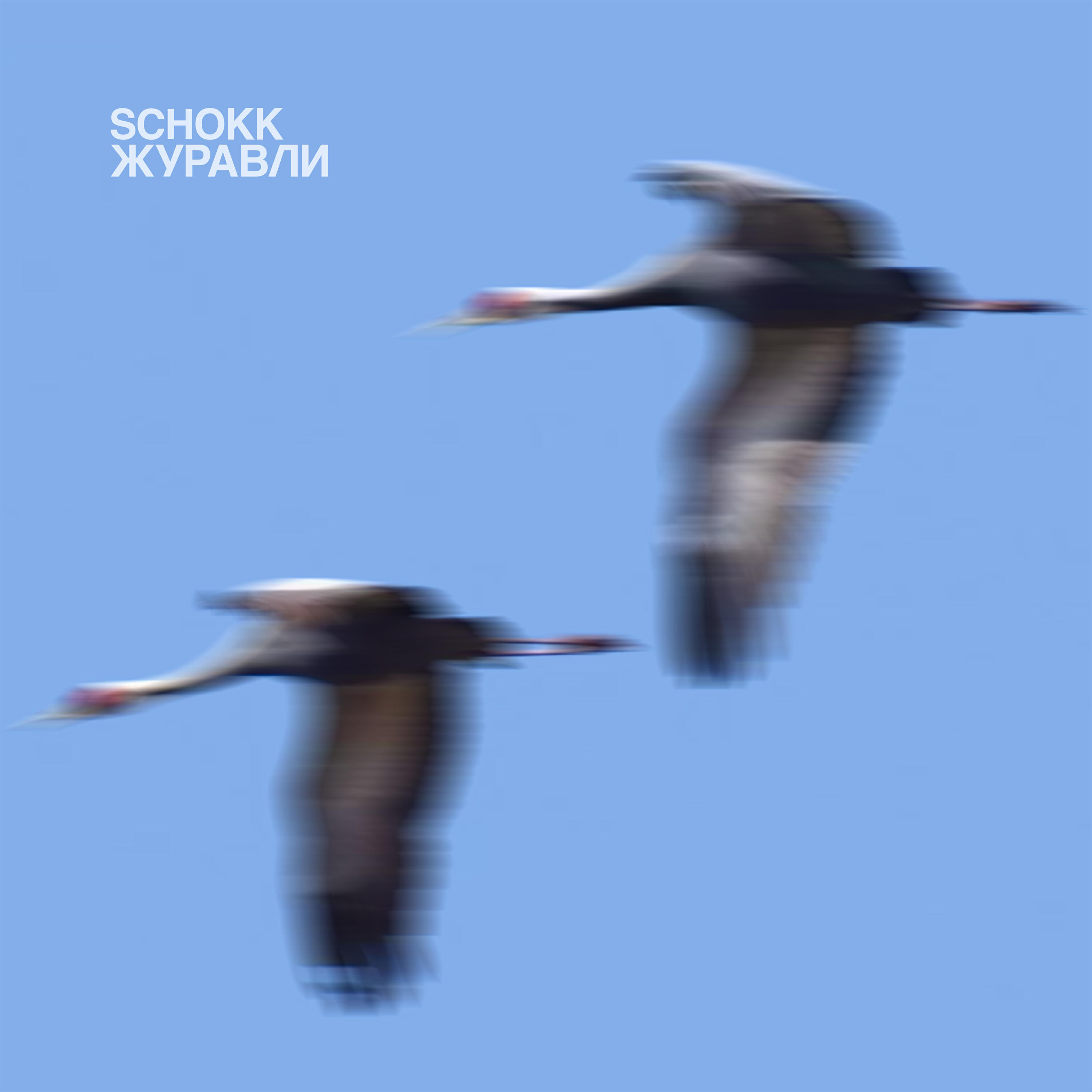 Альбом ЖУРАВЛИ исполнителя Schokk