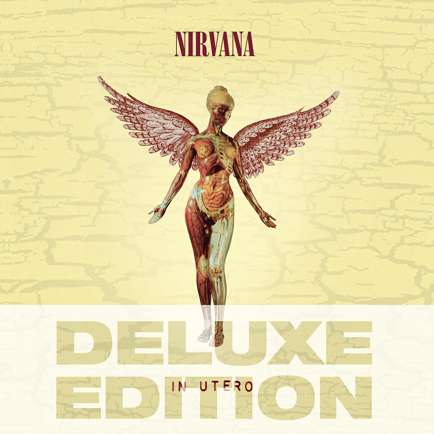 Альбом In Utero - 20th Anniversary - Deluxe Edition исполнителя Nirvana