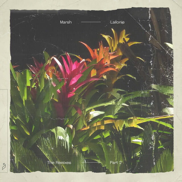 Leo Wood, Marsh, Braxton - My Stripes - Braxton & Marsh Remix
