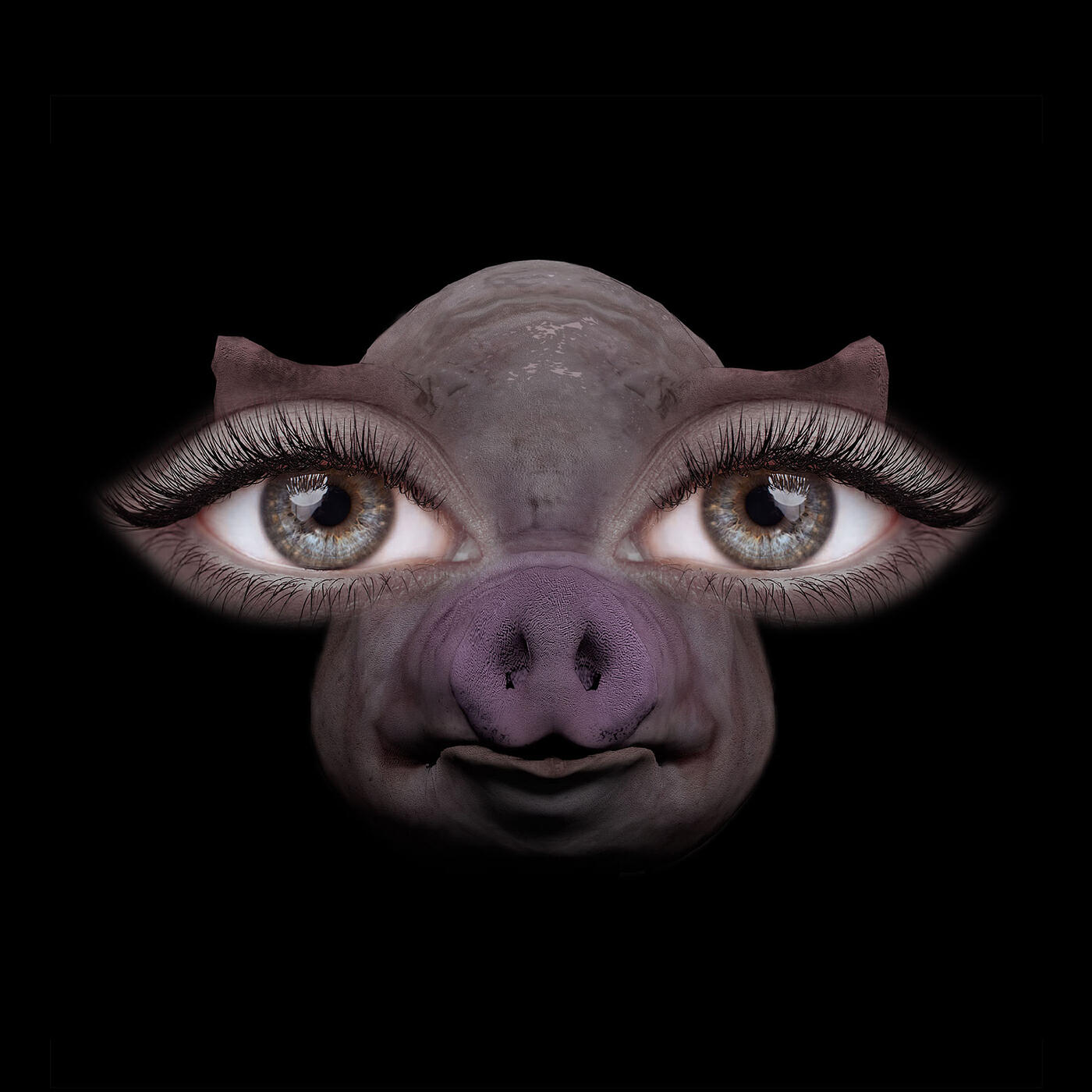Альбом Us and Pigs исполнителя Sofia Isella