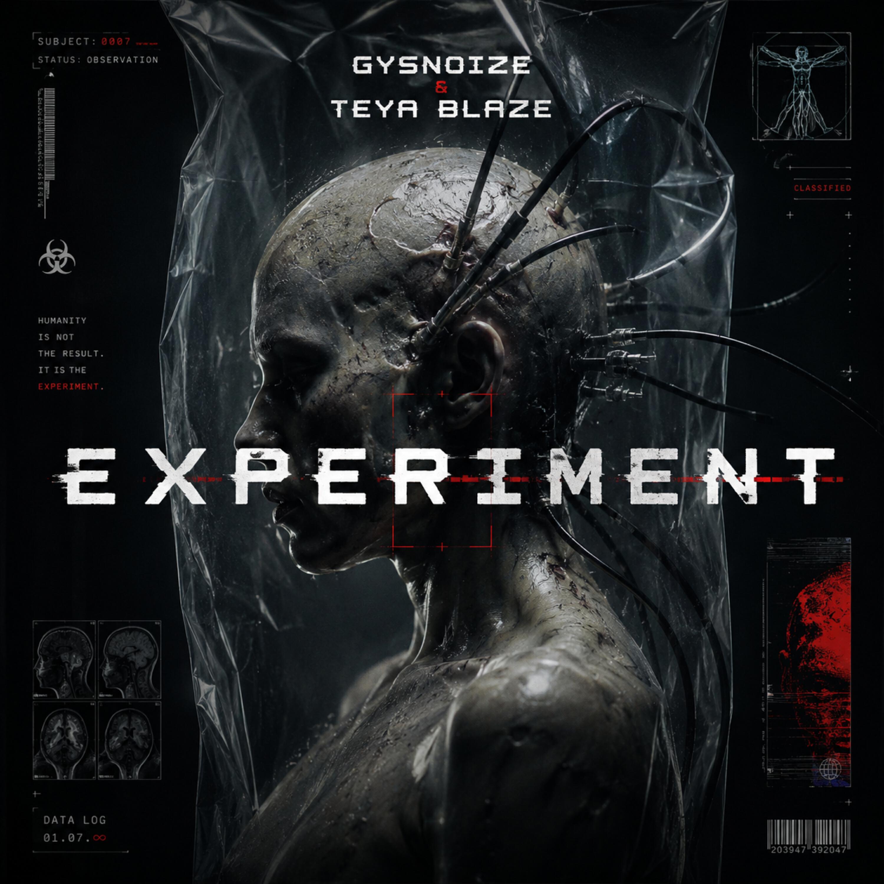 Experiment
