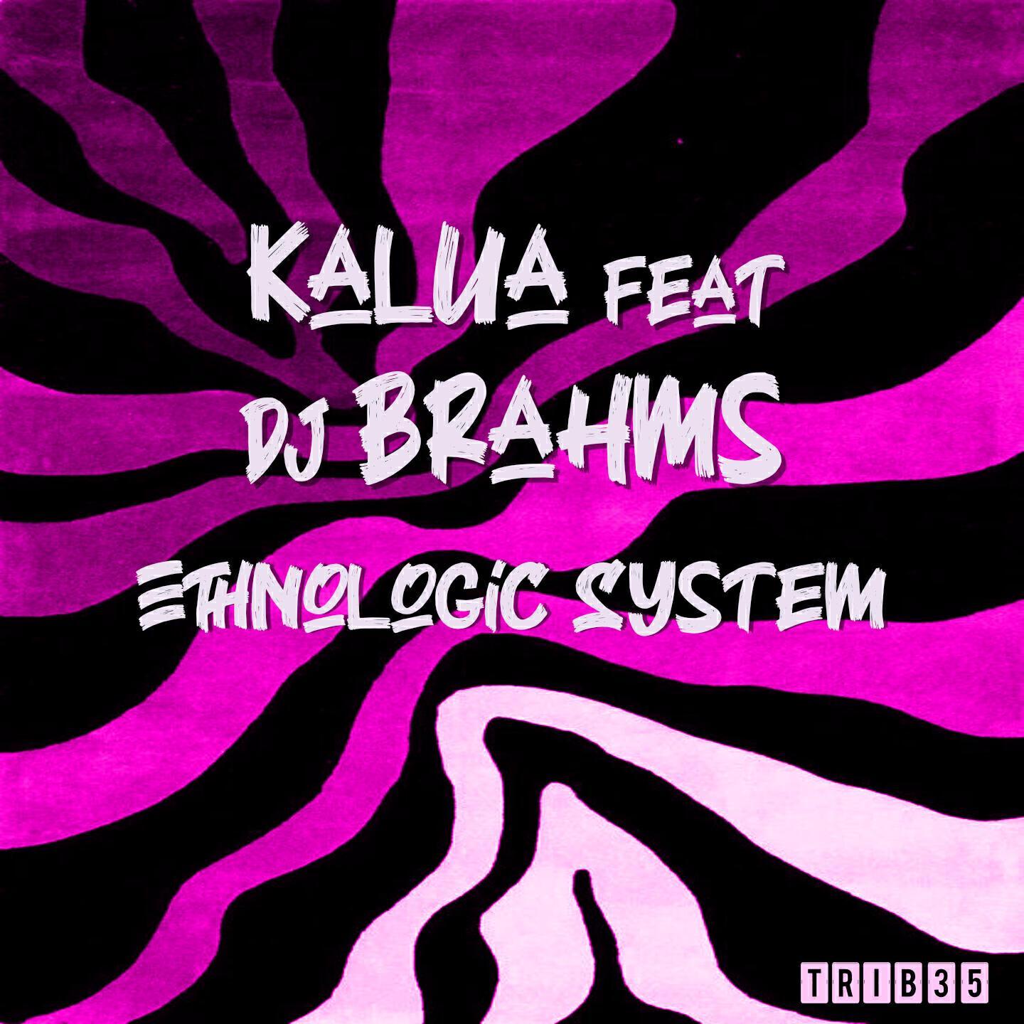 Dj Brahms