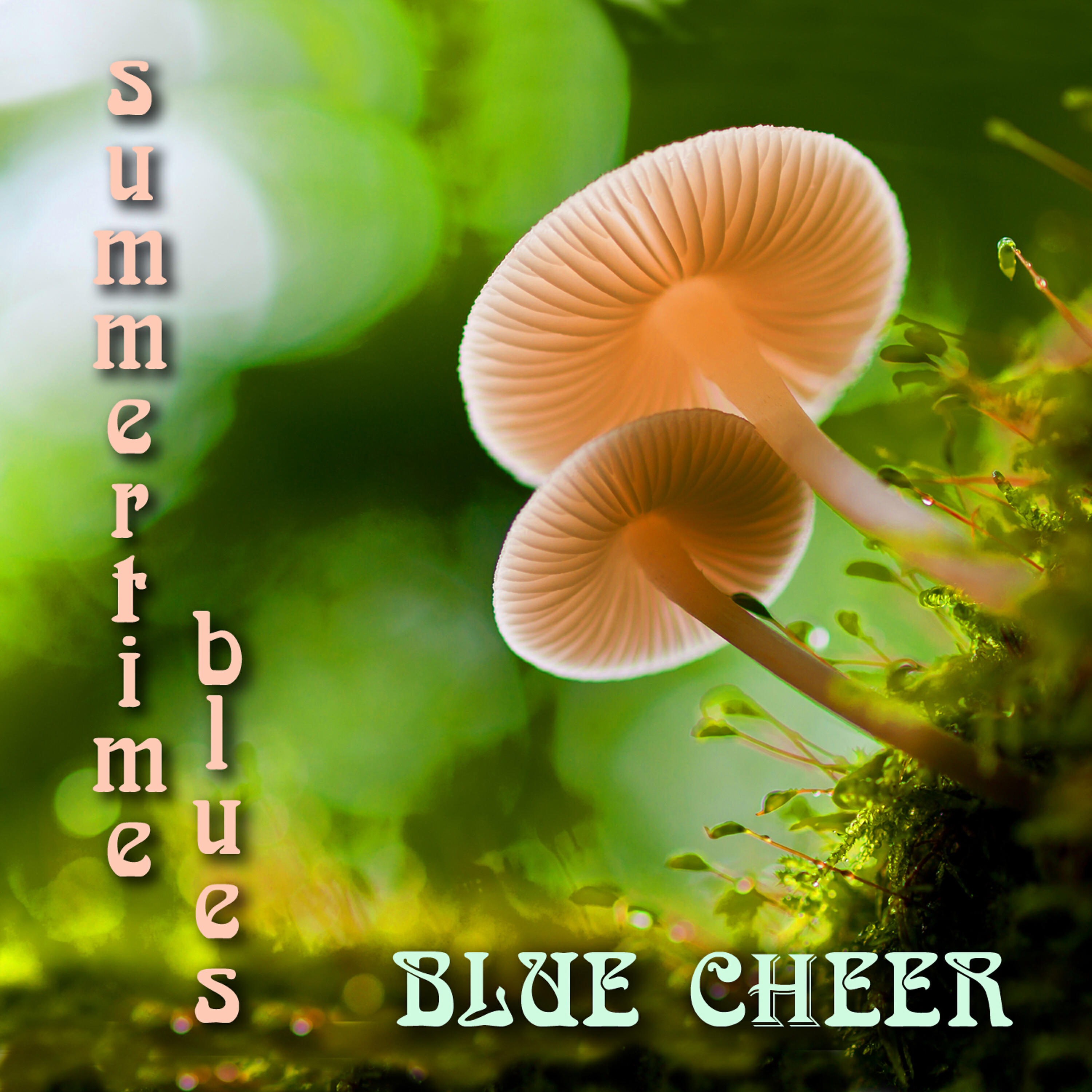 Summertime Blues