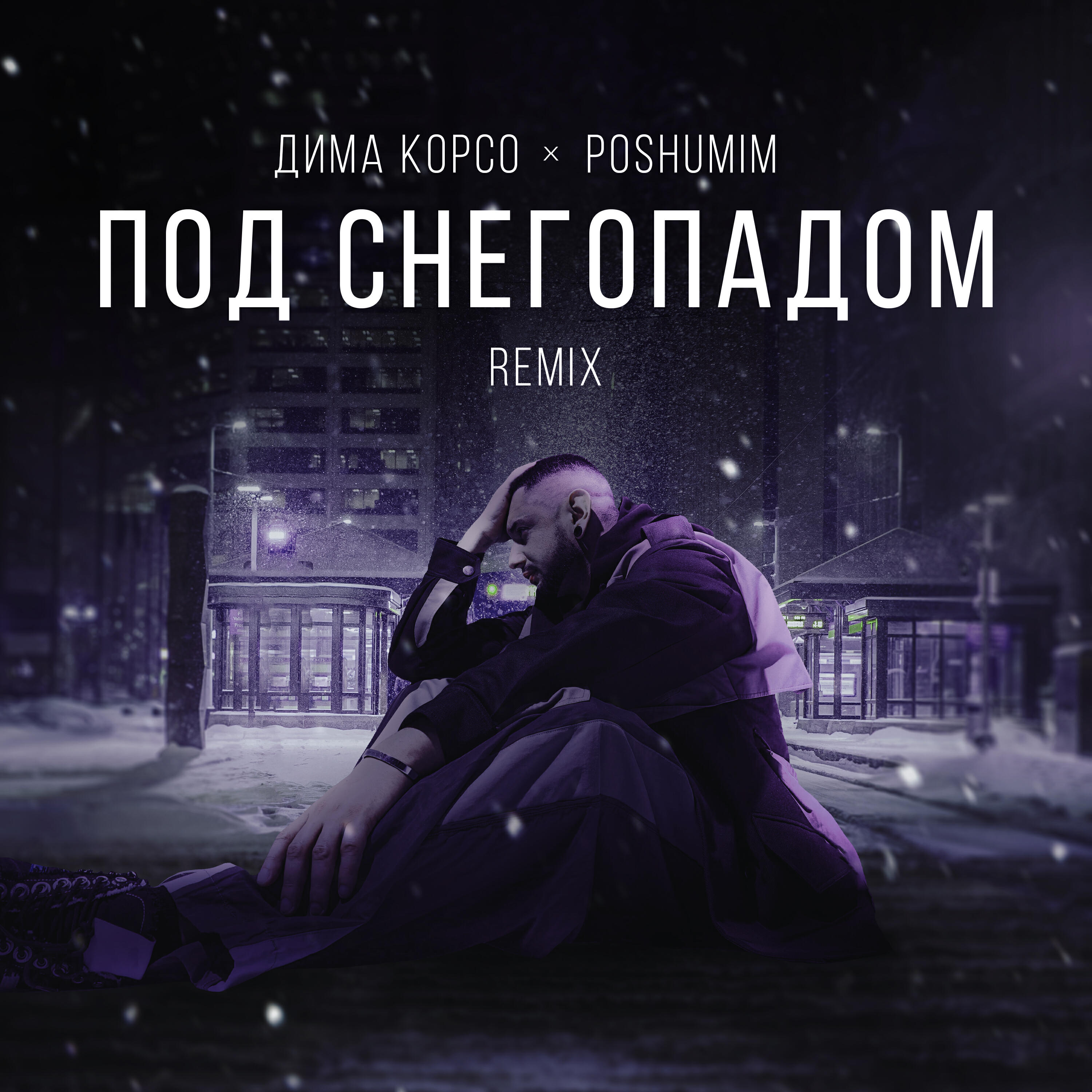 Под снегопадом (Remix)