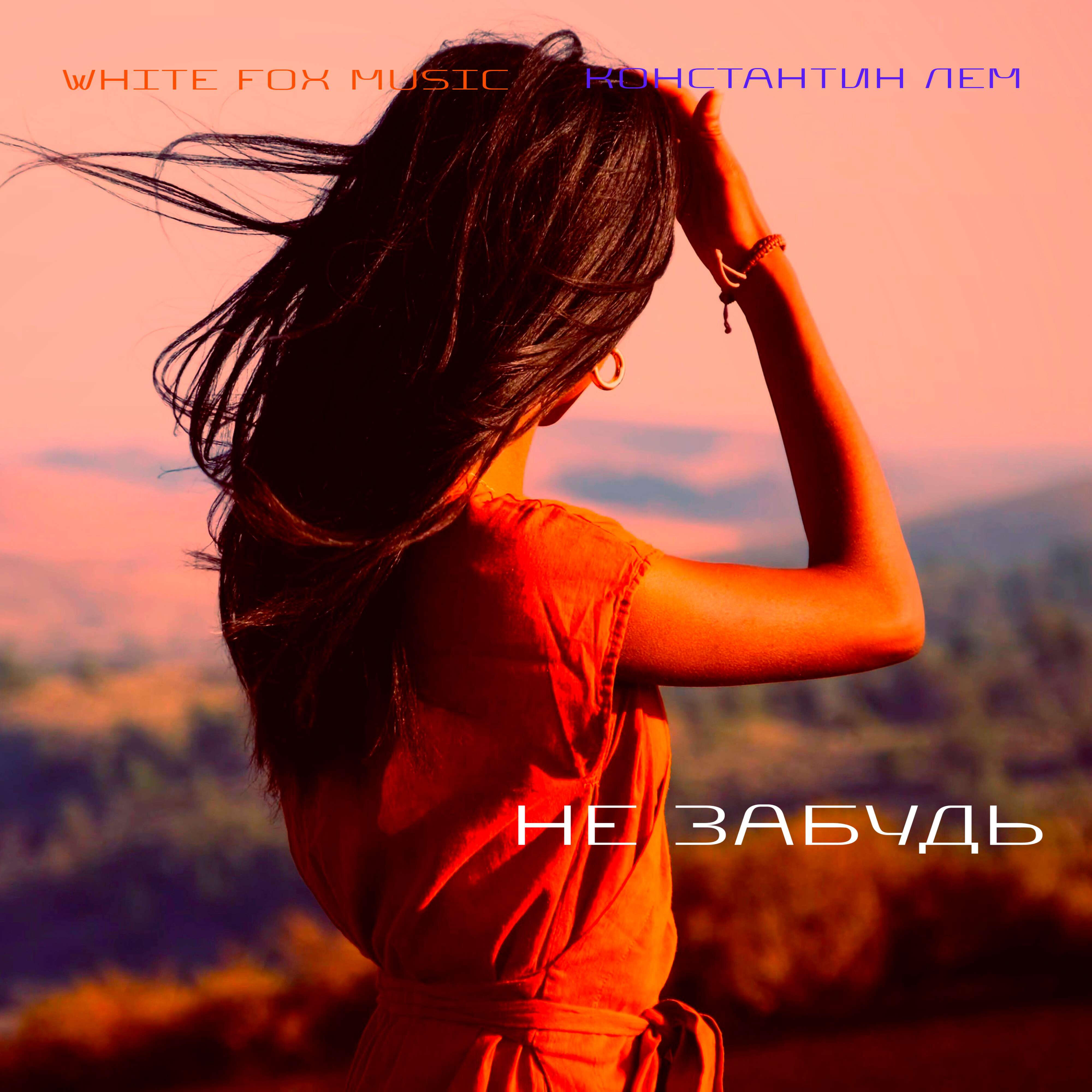 Альбом НЕ ЗАБУДЬ исполнителя White Fox Music, Константин ЛЕМ