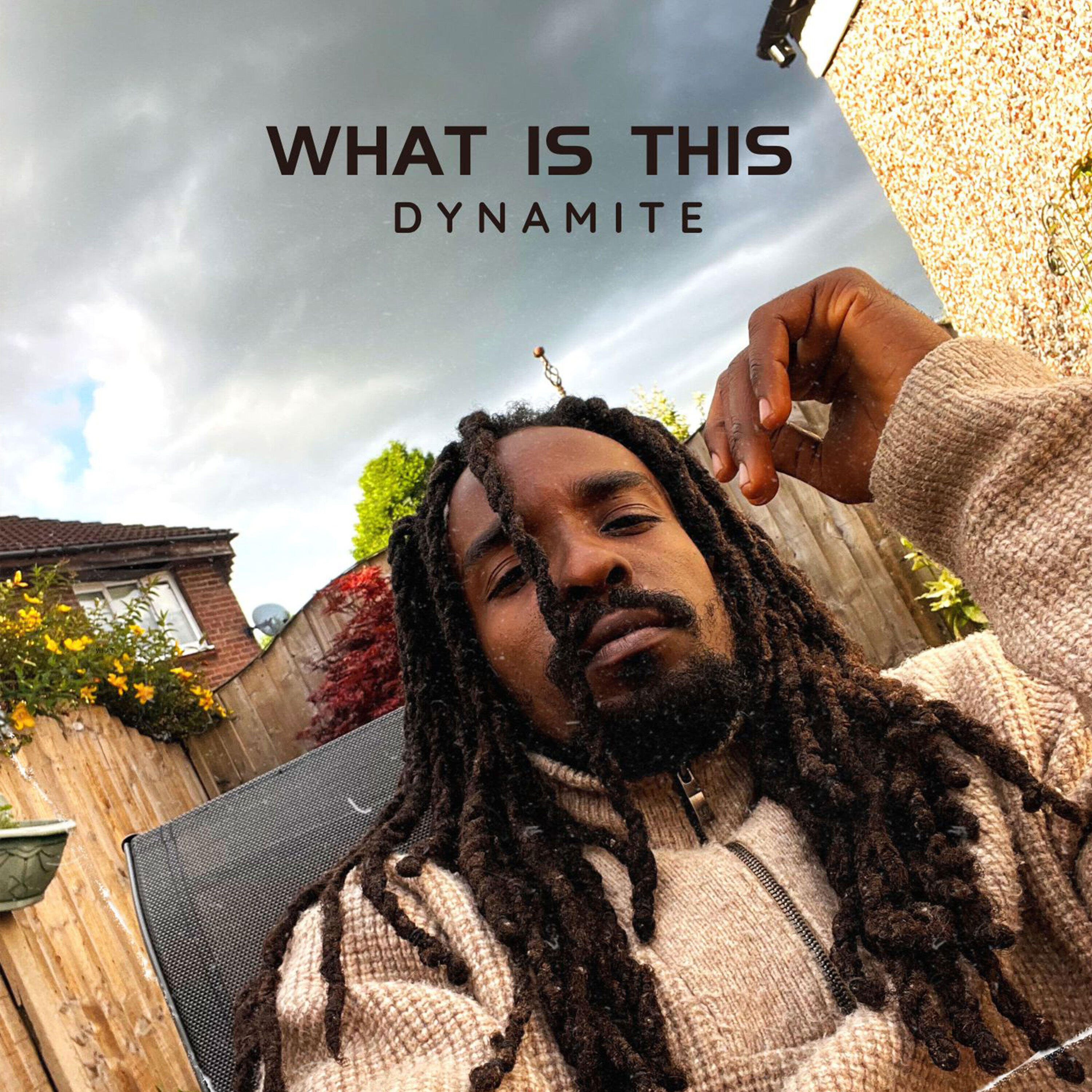 Альбом What Is This исполнителя Dynamite