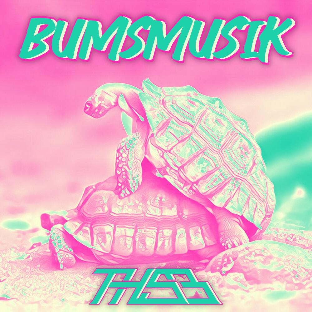 Альбом Bumsmusik исполнителя The Holy Santa Barbara