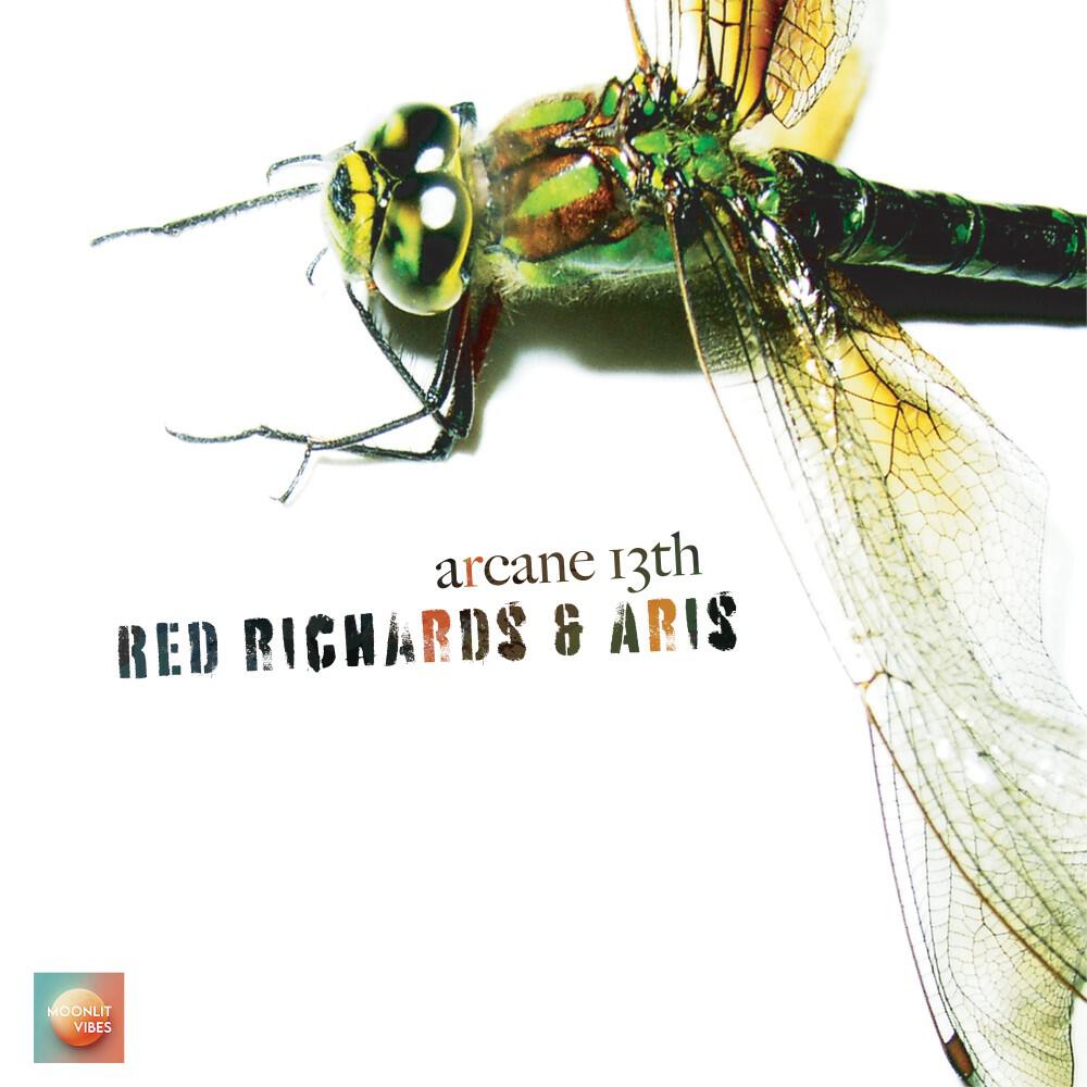 Arcane 13TH
