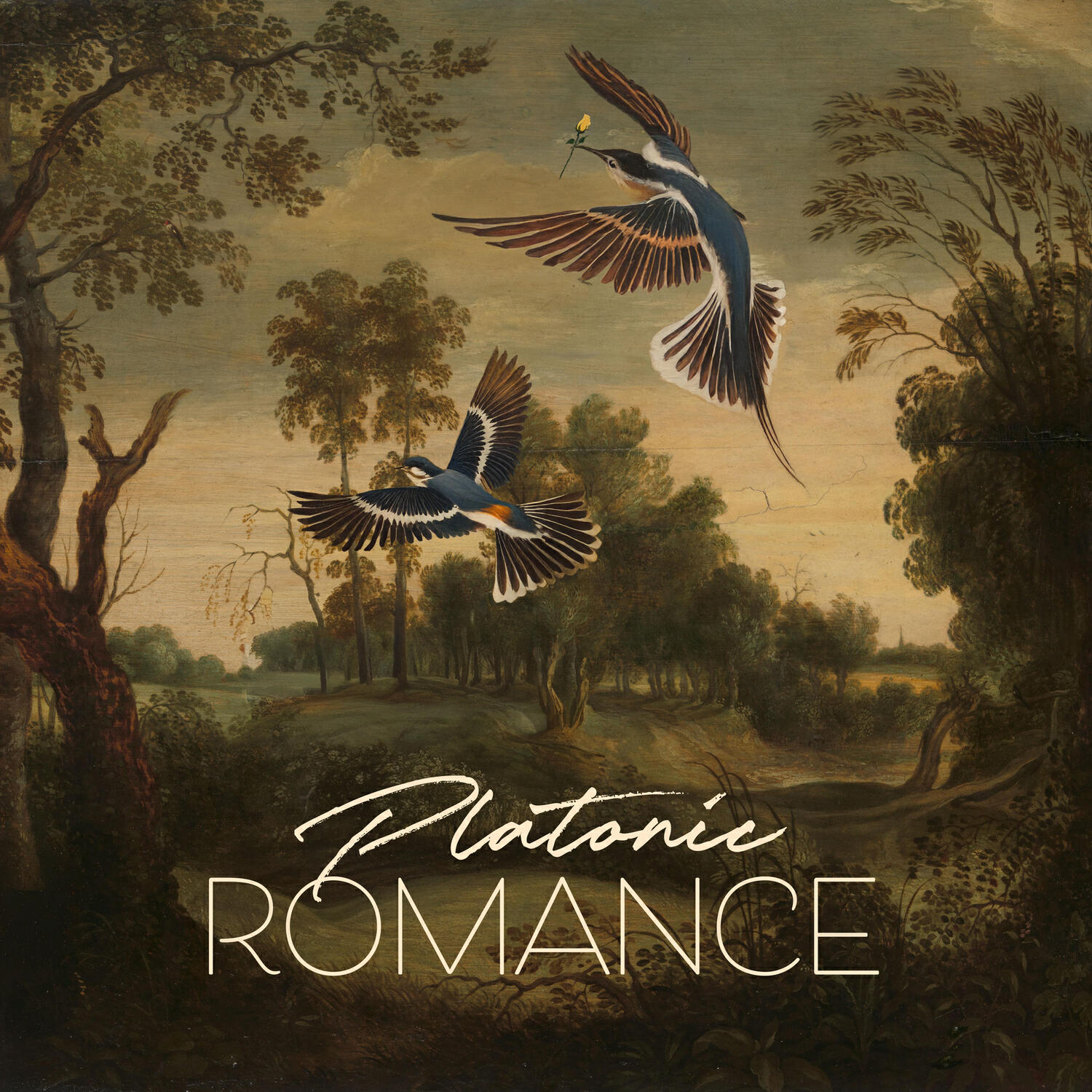 Platonic Romance