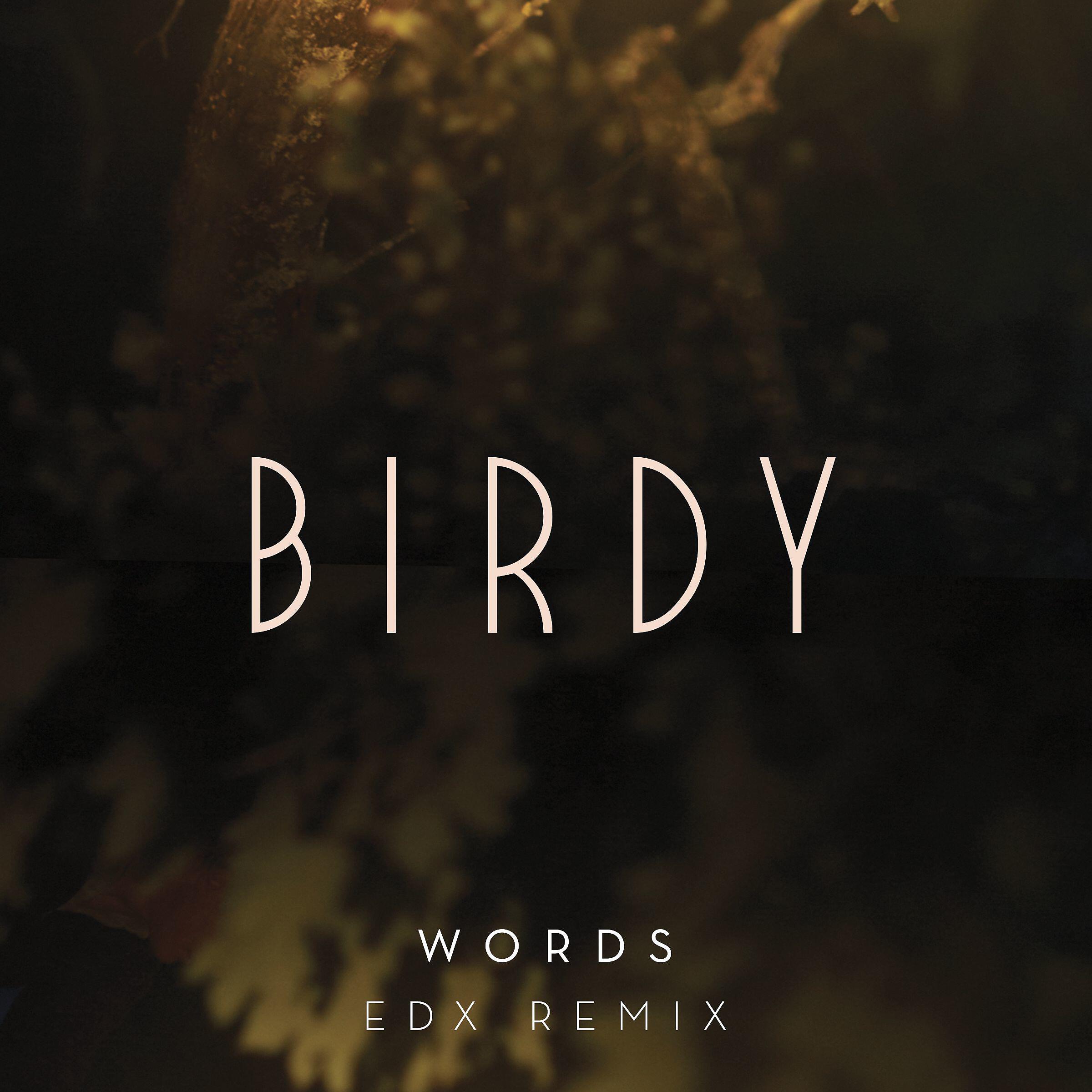 Альбом Words (EDX Remix) исполнителя Birdy
