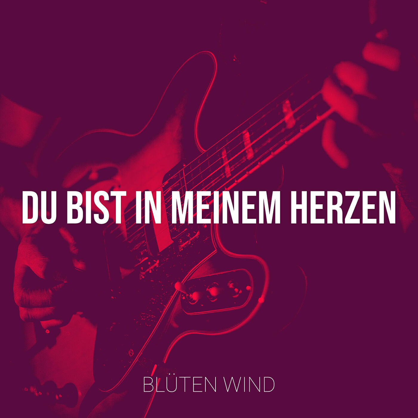 Du Bist in Meinem Herzen
